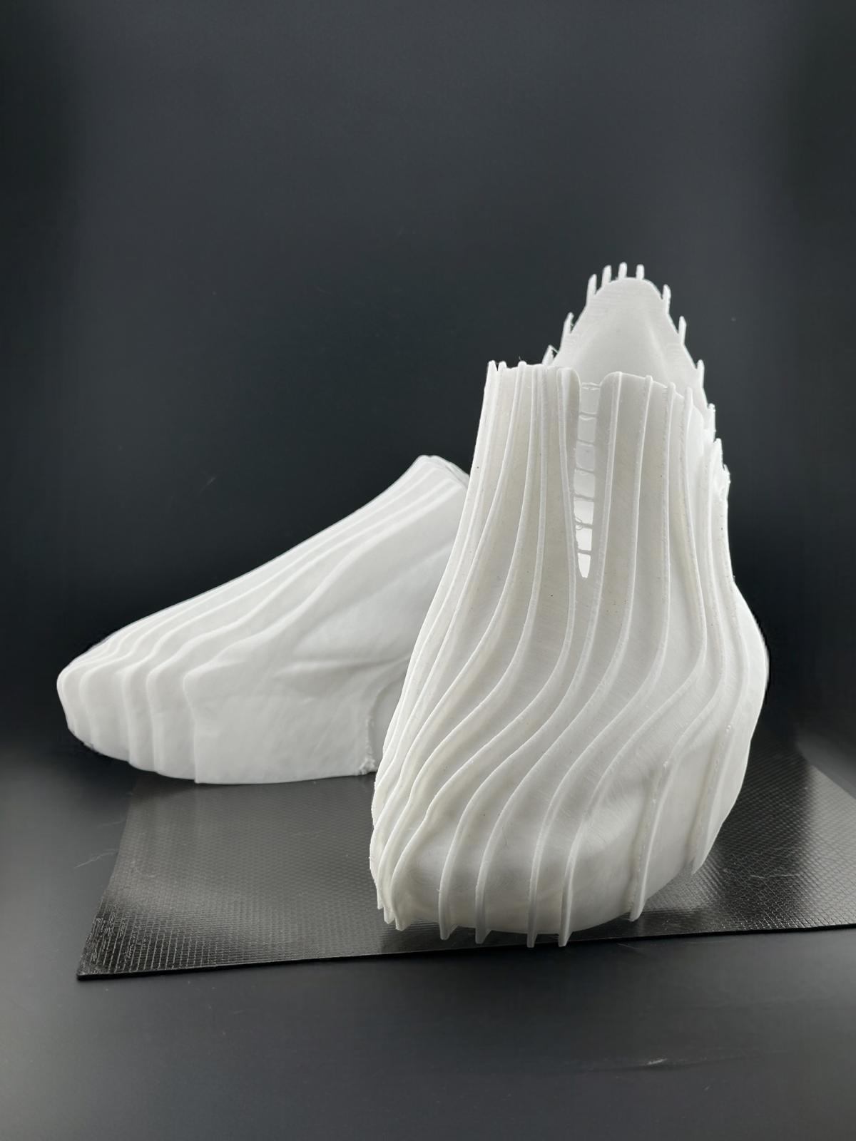 Wearable Wavy shoes 3d model