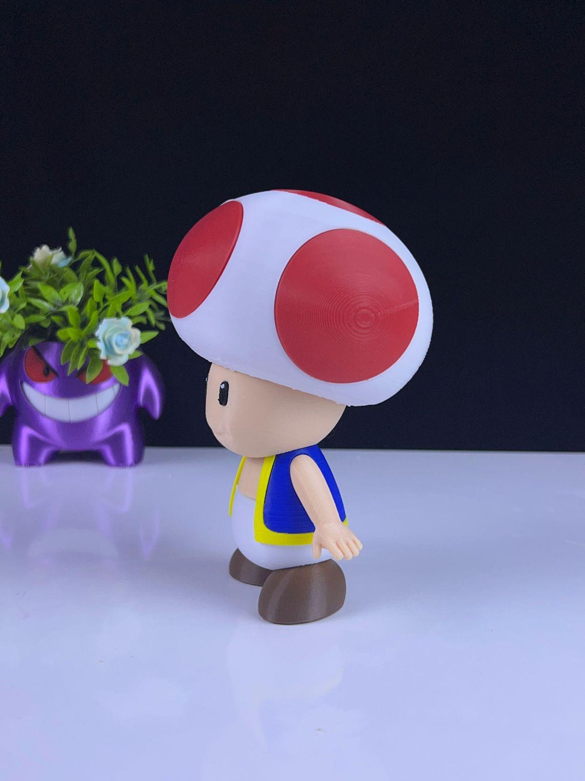 Toad - Multipart 3d model