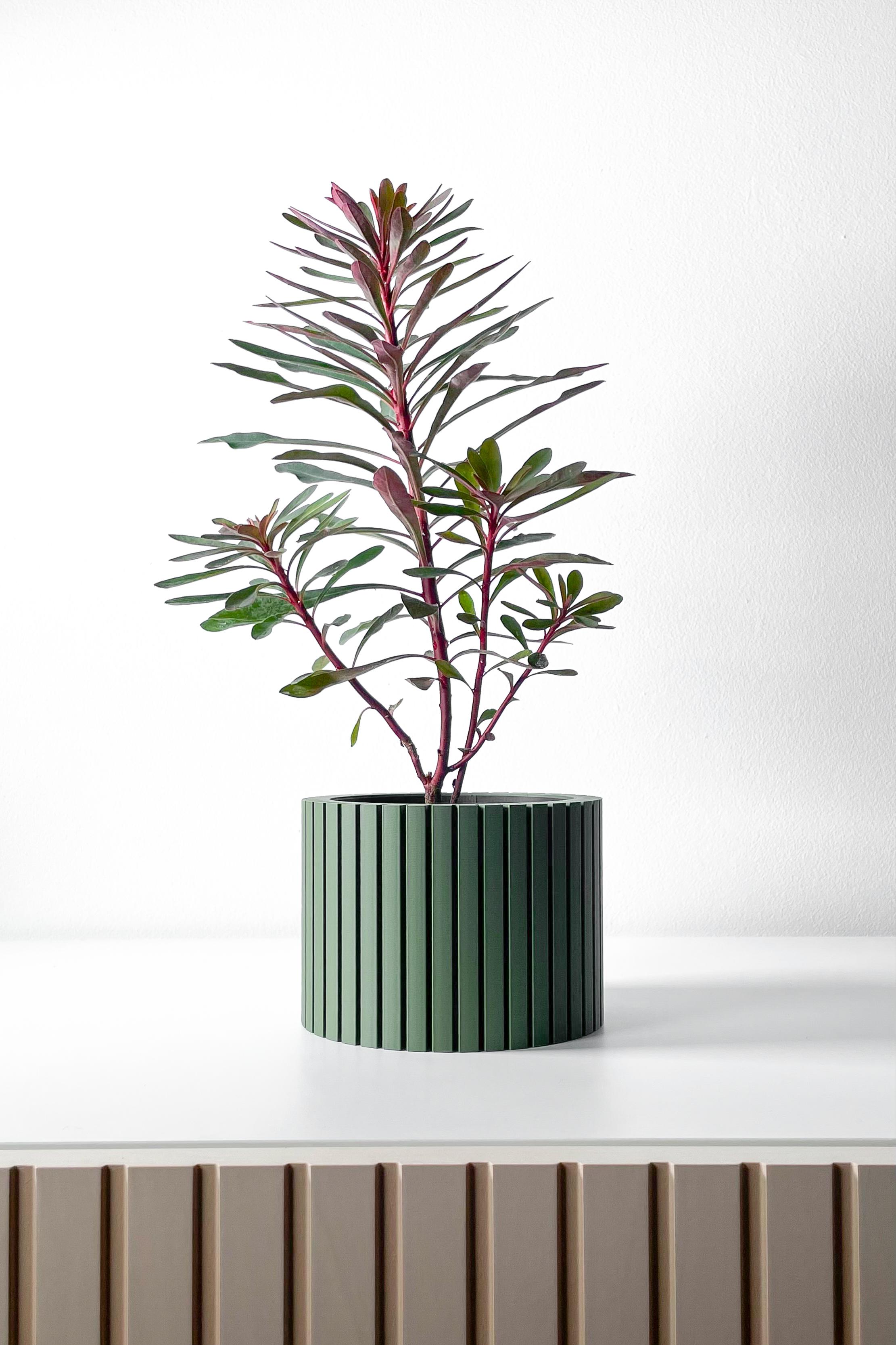 The Zelno Planter Pot with Drainage Tray & Stand Included | Modern and Unique Home Decor 3d model