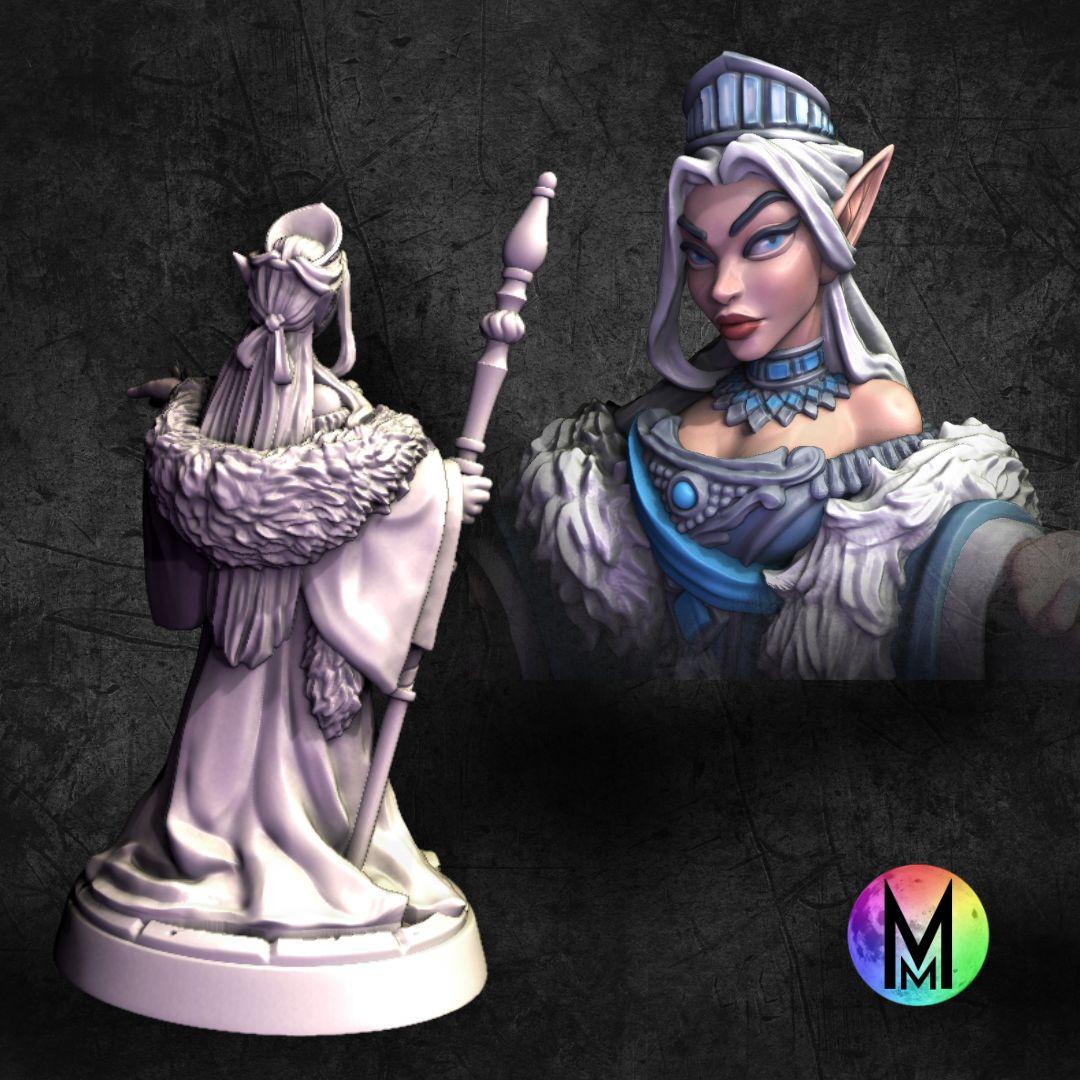 High Elf Cleric/Wizard Female - Polaris the High Elf Cleric ( Frost themed High Elf wizard/cleric ) 3d model