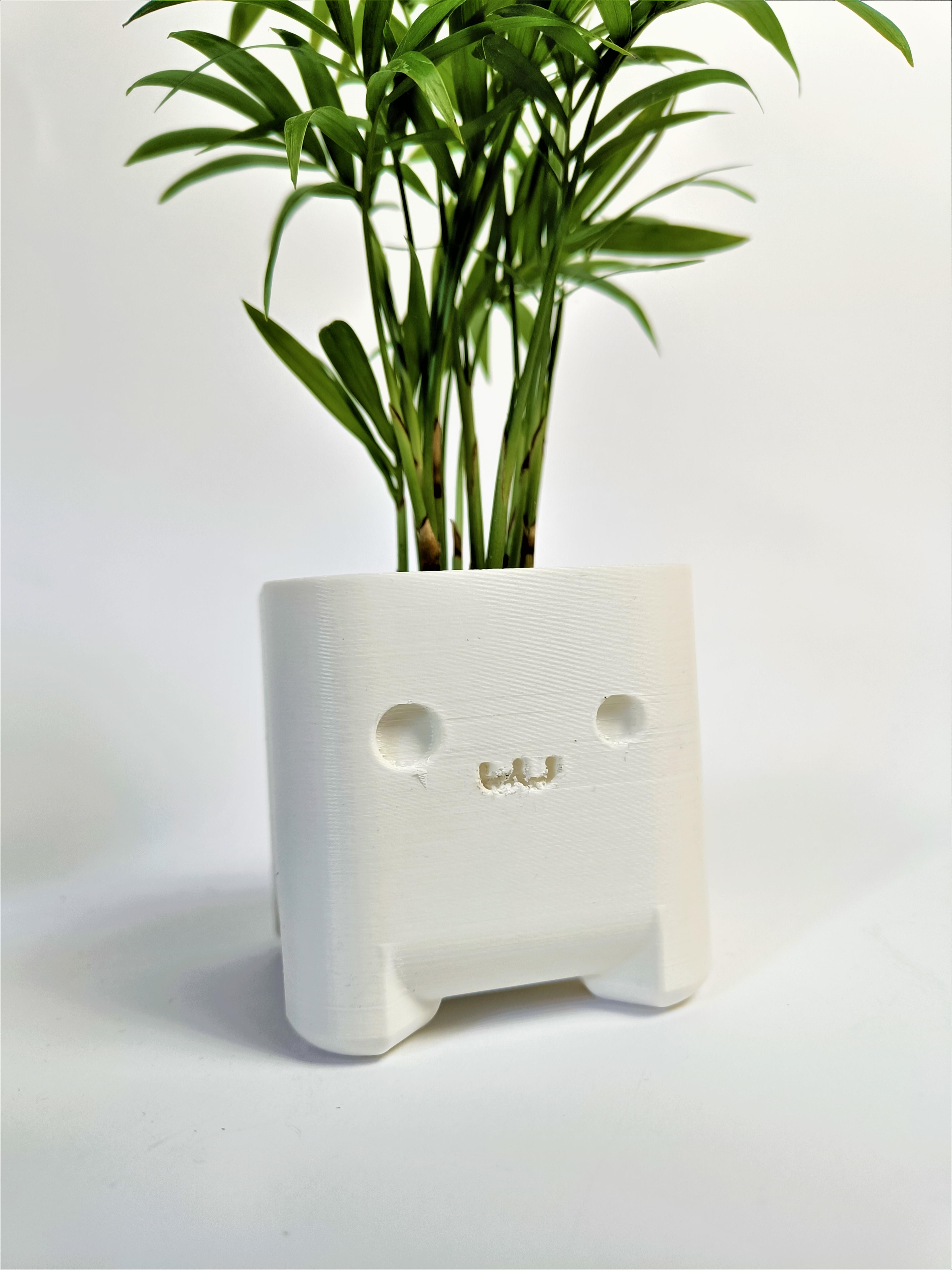 Cute Planter Timo 3d model