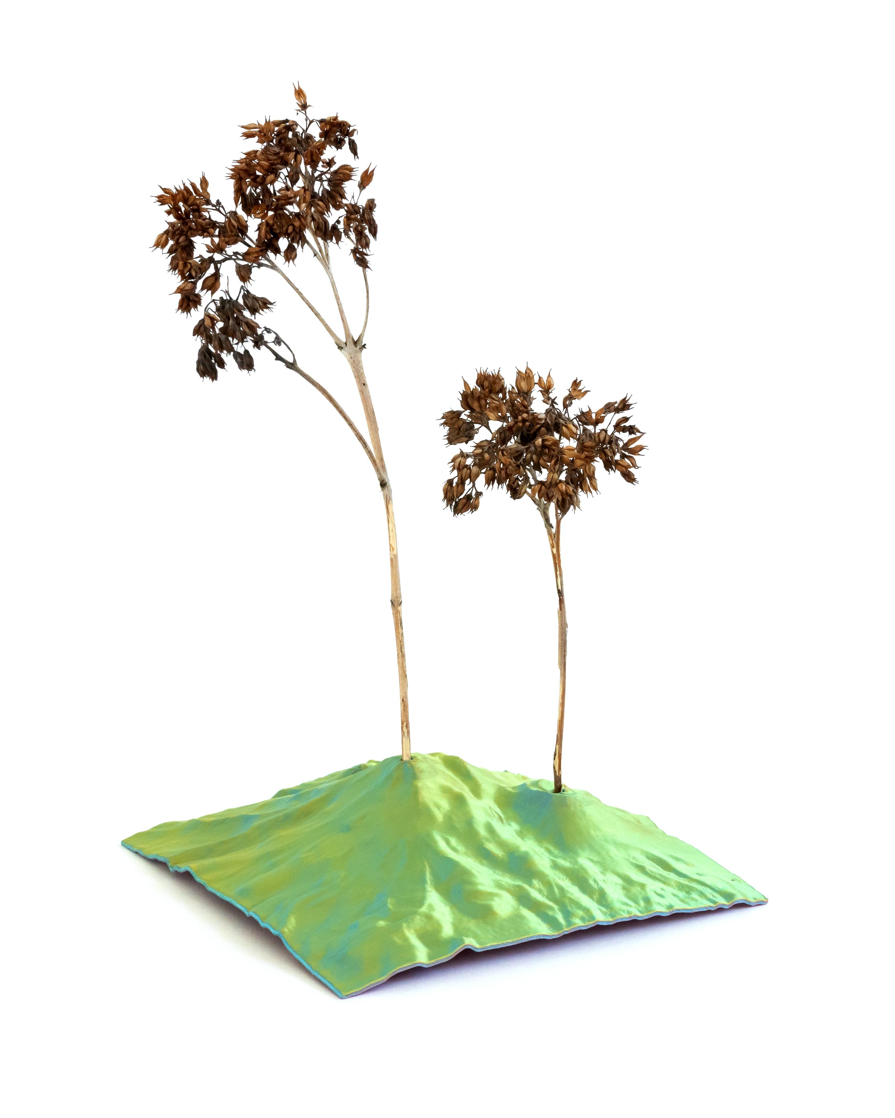 Hollow Mountains // Mt. Shasta Totem + Plant Holder 3d model