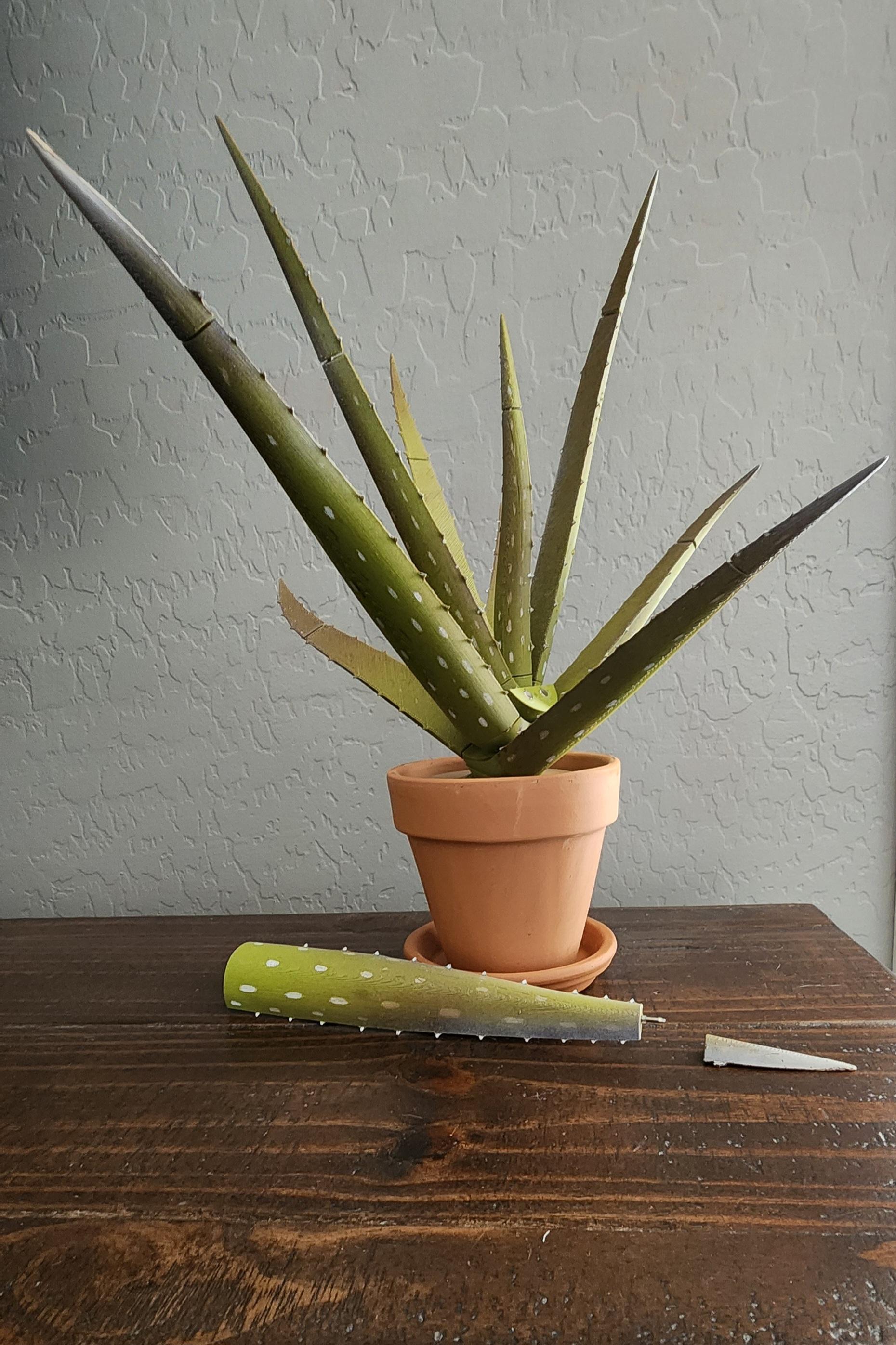 Aloe Vera Pen Plant - Love this print-I used harbor frieght 12 piece files #4614 that came in handy for pen inserts and to file down any rough edges. Also used a white paint marker for dots on plant and spray painted tips lightly with a brown and pink spray cans, and placed in a 4-inch clay pot with saucer. - 3d model