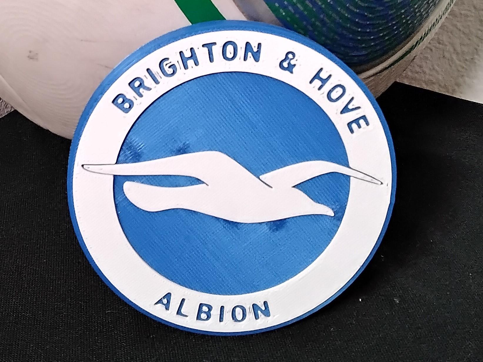 Concave Brighton & Hove Albion coaster or plaque 3d model