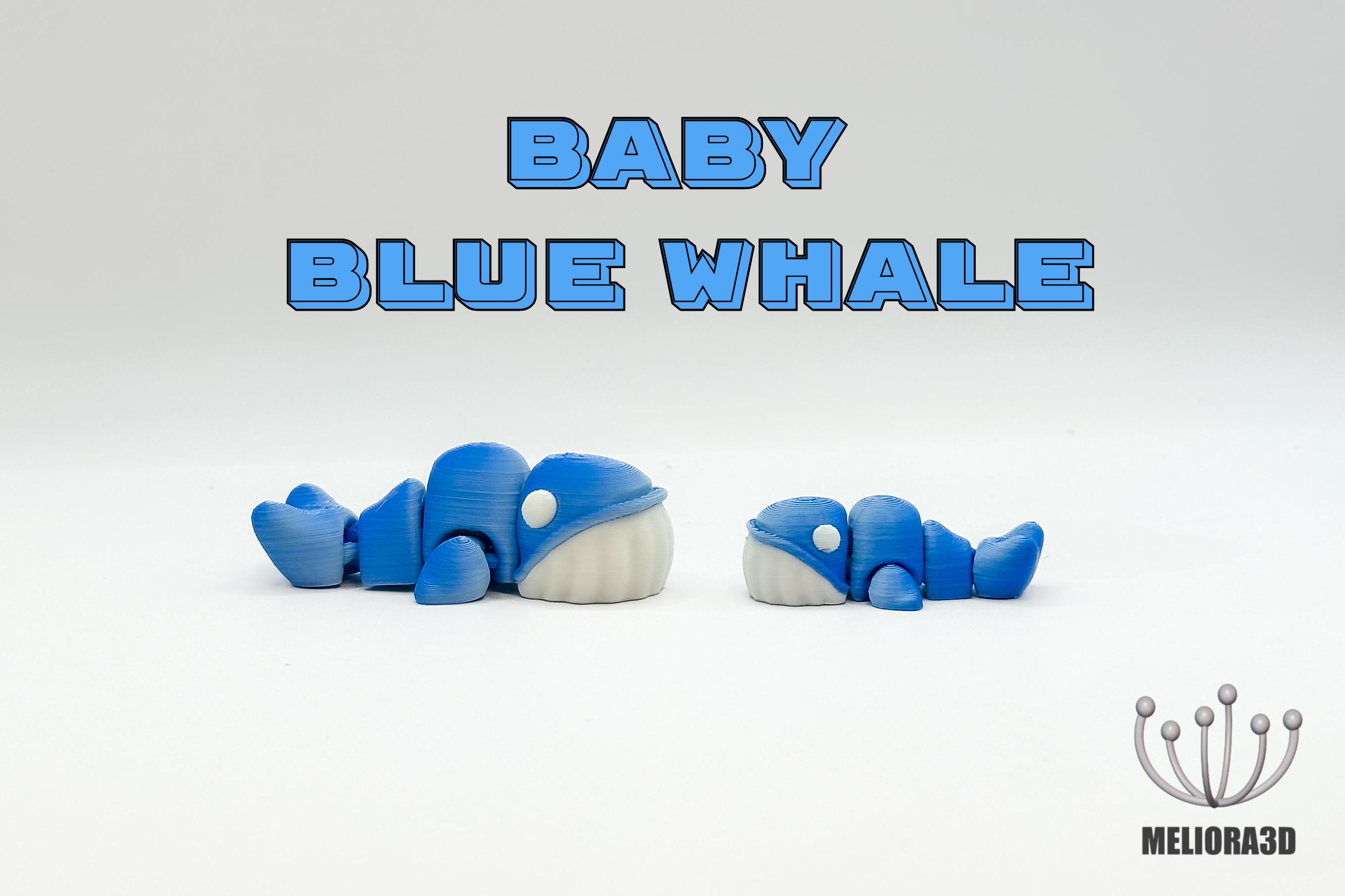 M3D - Baby Blue Whale 3d model