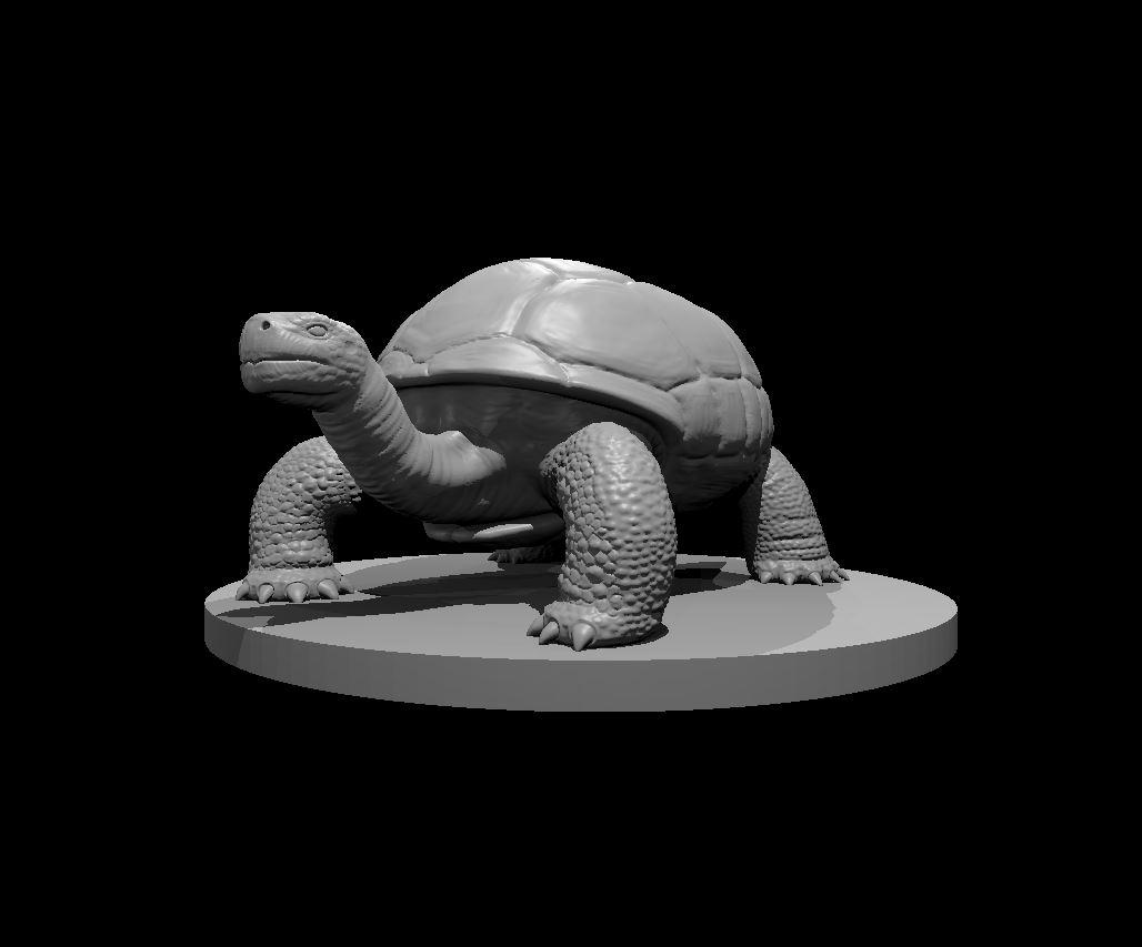 Giant Tortoise - Giant Tortoise - 3d model render - D&D - 3d model