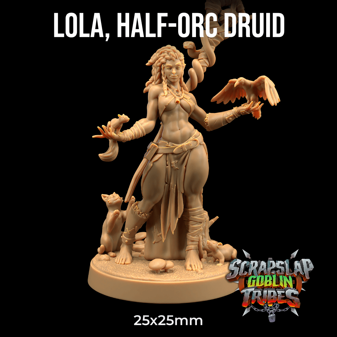 Lola, Half-Orc Druid  3d model