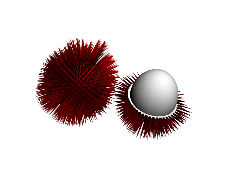 rambutan.stl 3d model