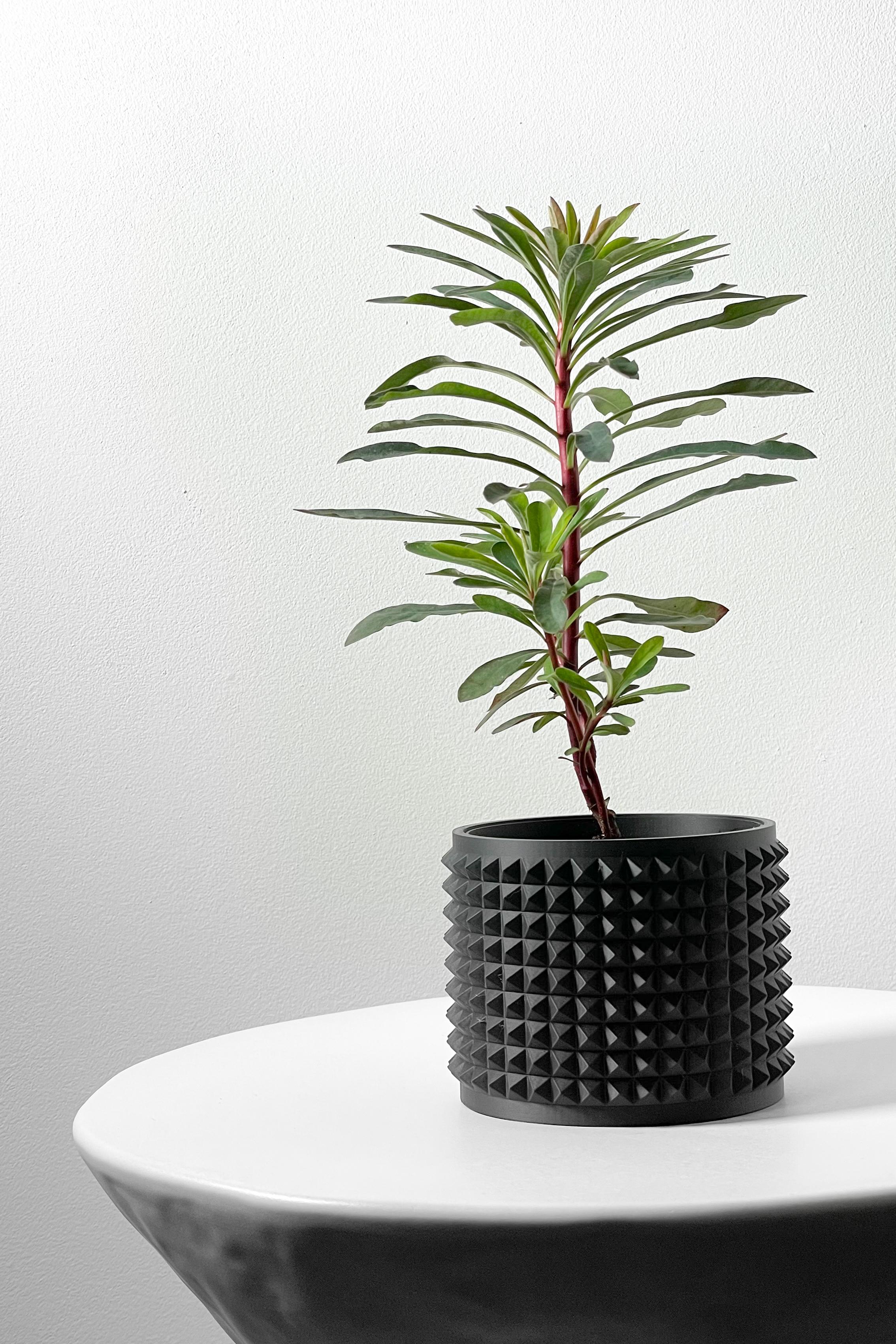 The Anver Planter Pot with Drainage Tray & Stand Included | Modern and Unique Home Decor 3d model