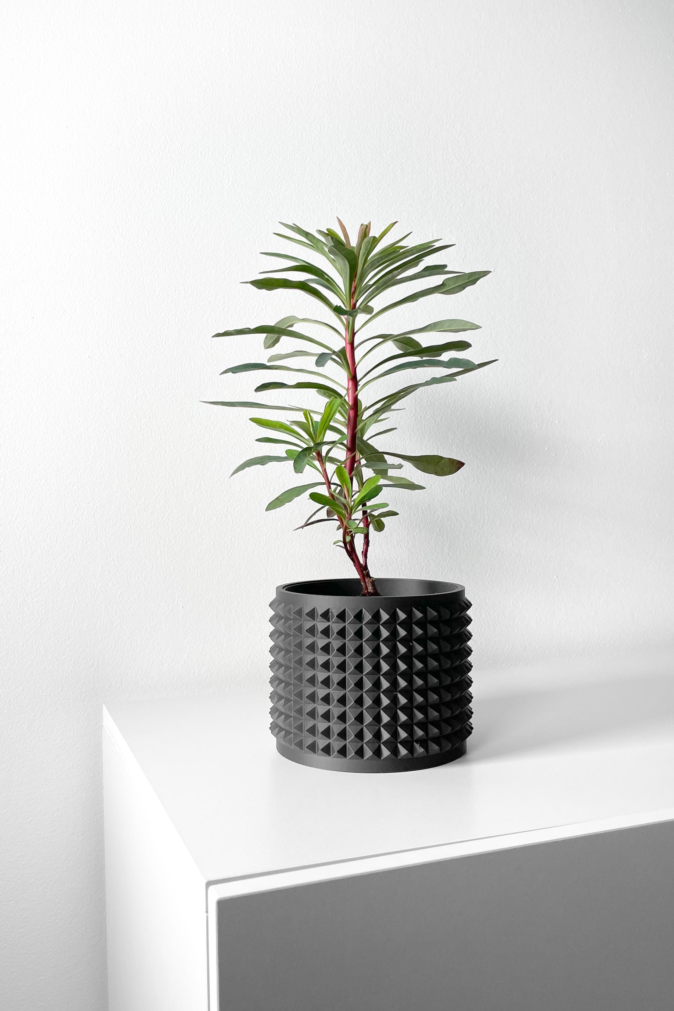 The Anver Planter Pot with Drainage Tray & Stand Included | Modern and Unique Home Decor 3d model