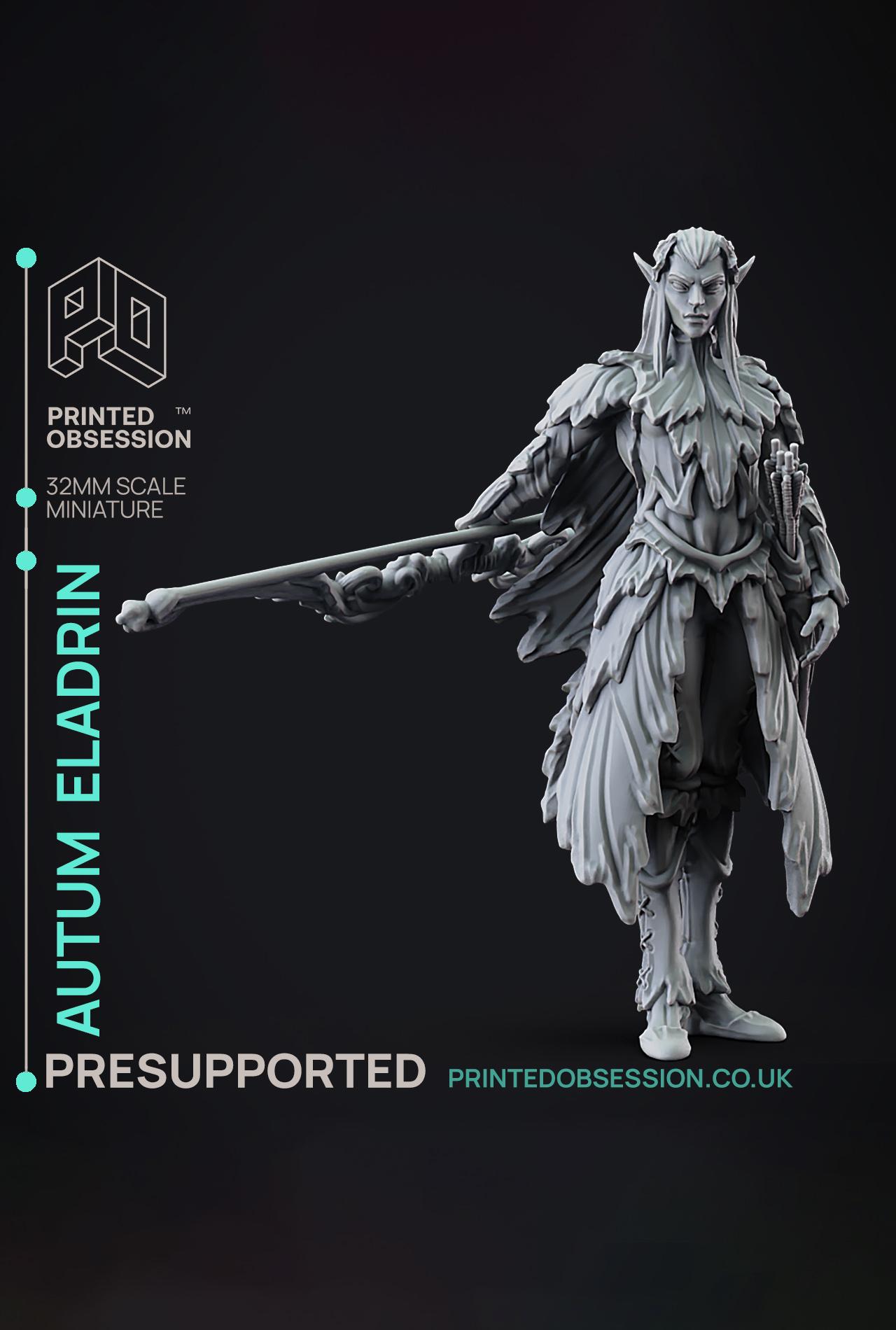 -Autum Eladrin -Faywild Vs Shadowfell 2 - PRESUPPORTED - Illustrated and Stats - 32mm scale			 3d model