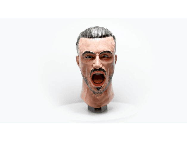 MÍSTER JAGGER HEADS (BROCOJAGGER). 3d model