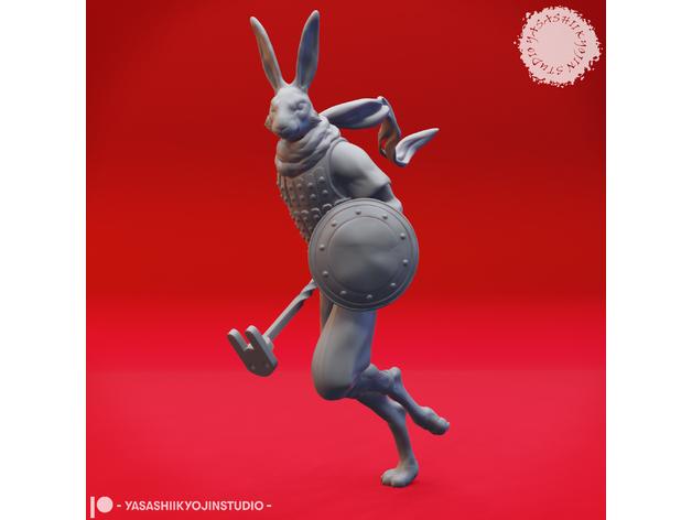 Rabbitfolk Fighter - Tabletop Miniature 3d model