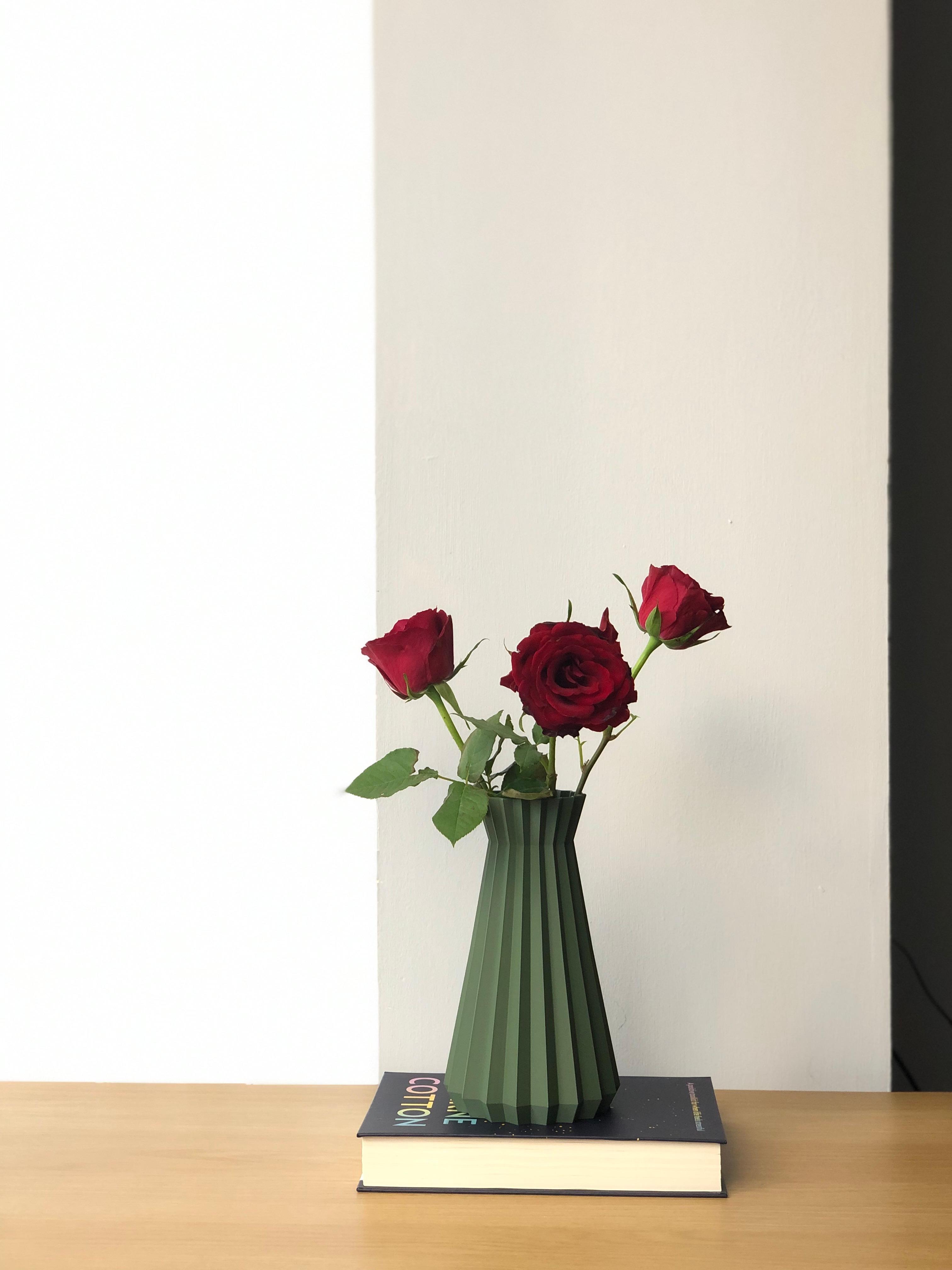Modern Indoor Vase  3d model