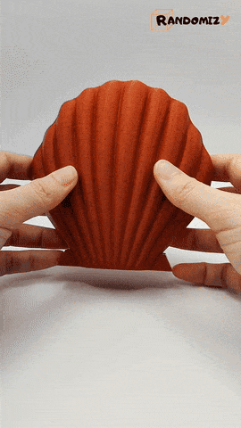 Seashell Shaped Box (Magnets) 3d model