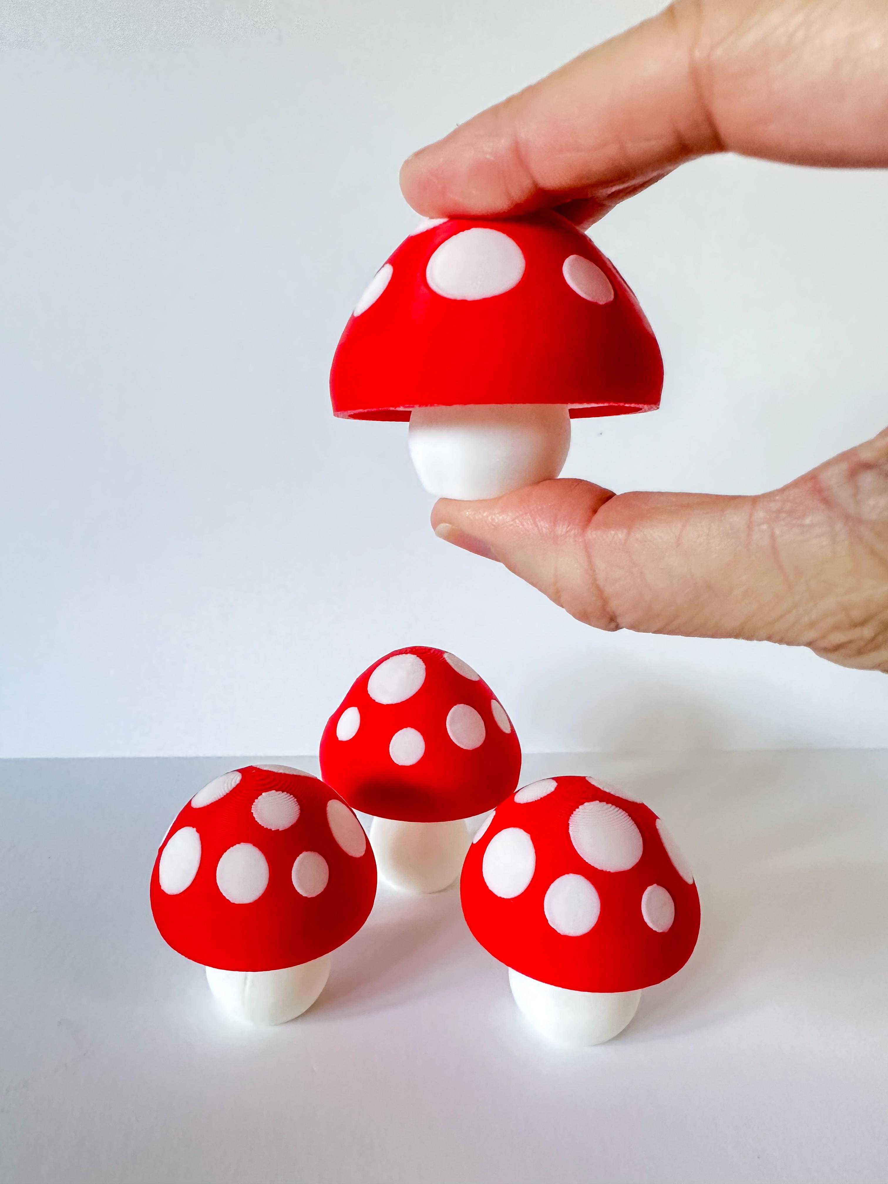 Squishy Mushrooms (2 sizes) 3d model