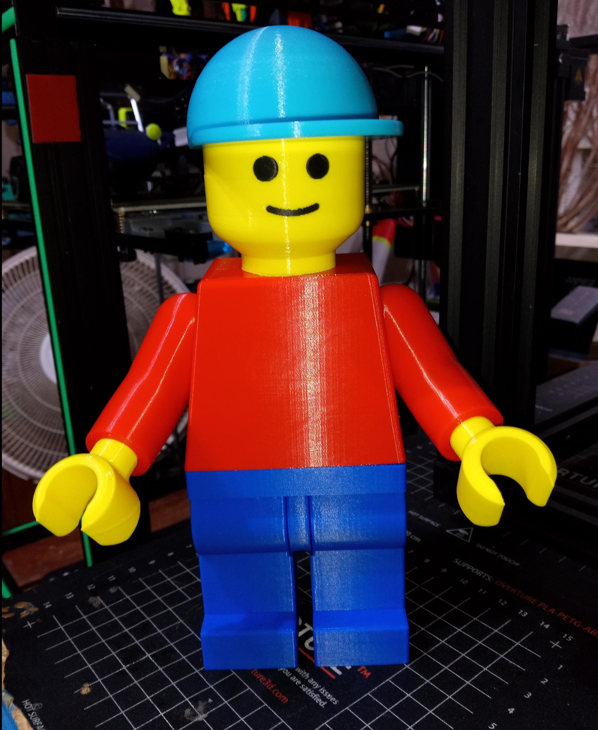 Generic Figure (9 inch brick figure, NO MMU/AMS, NO supports, NO glue) 3d model