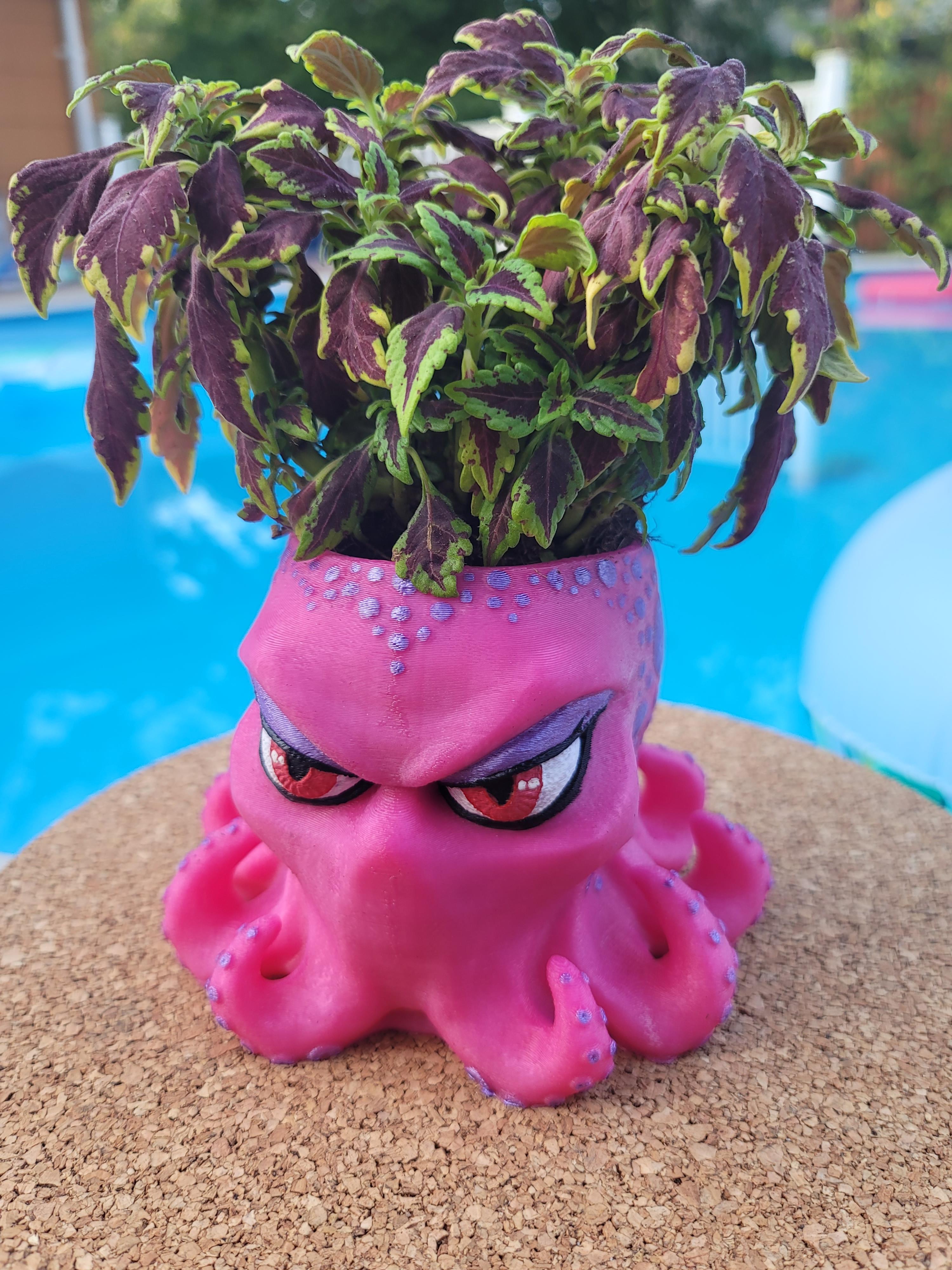 His and Hers Cthulhu planters 3d model