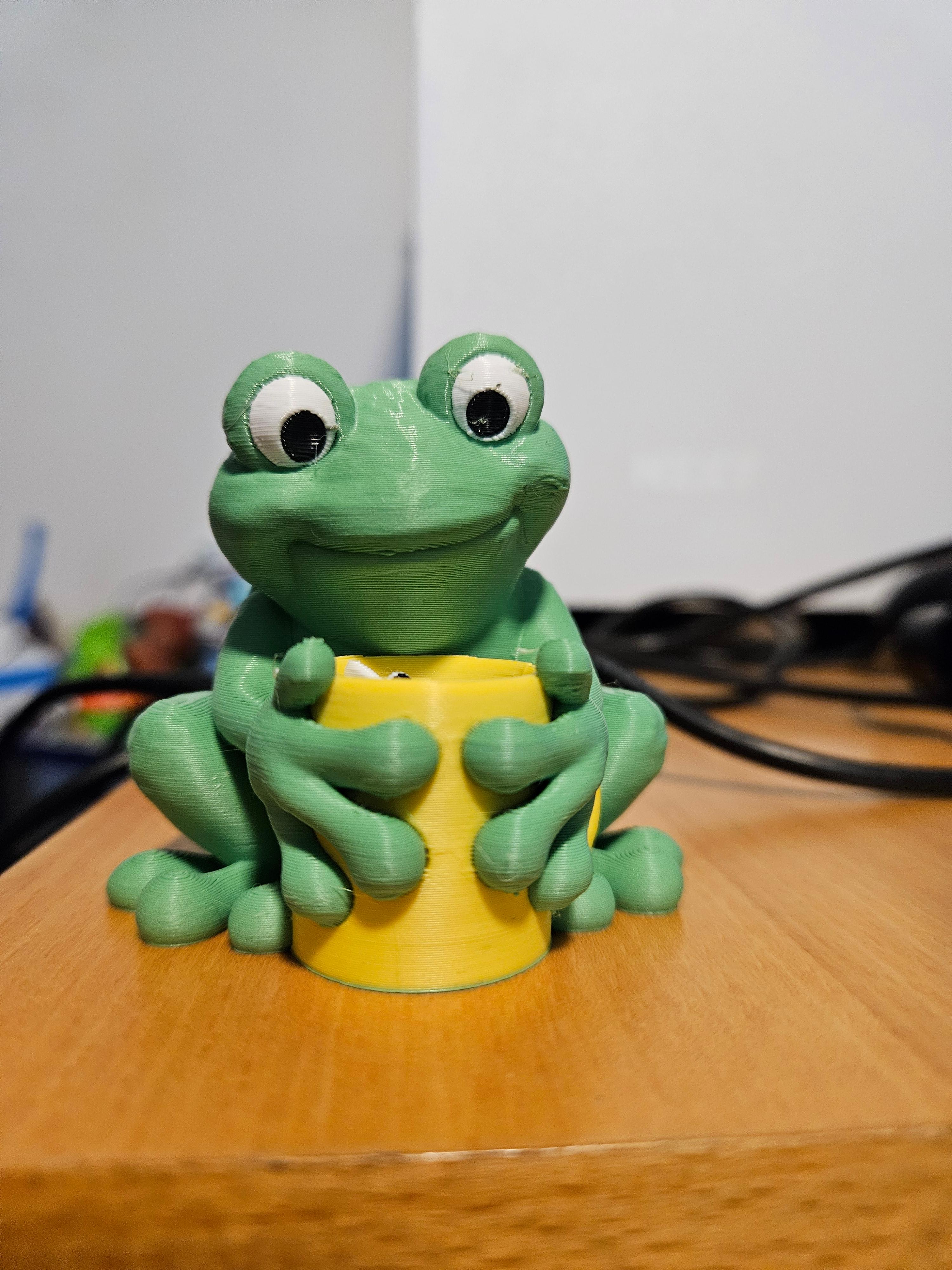 Tea Time Frog 3d model