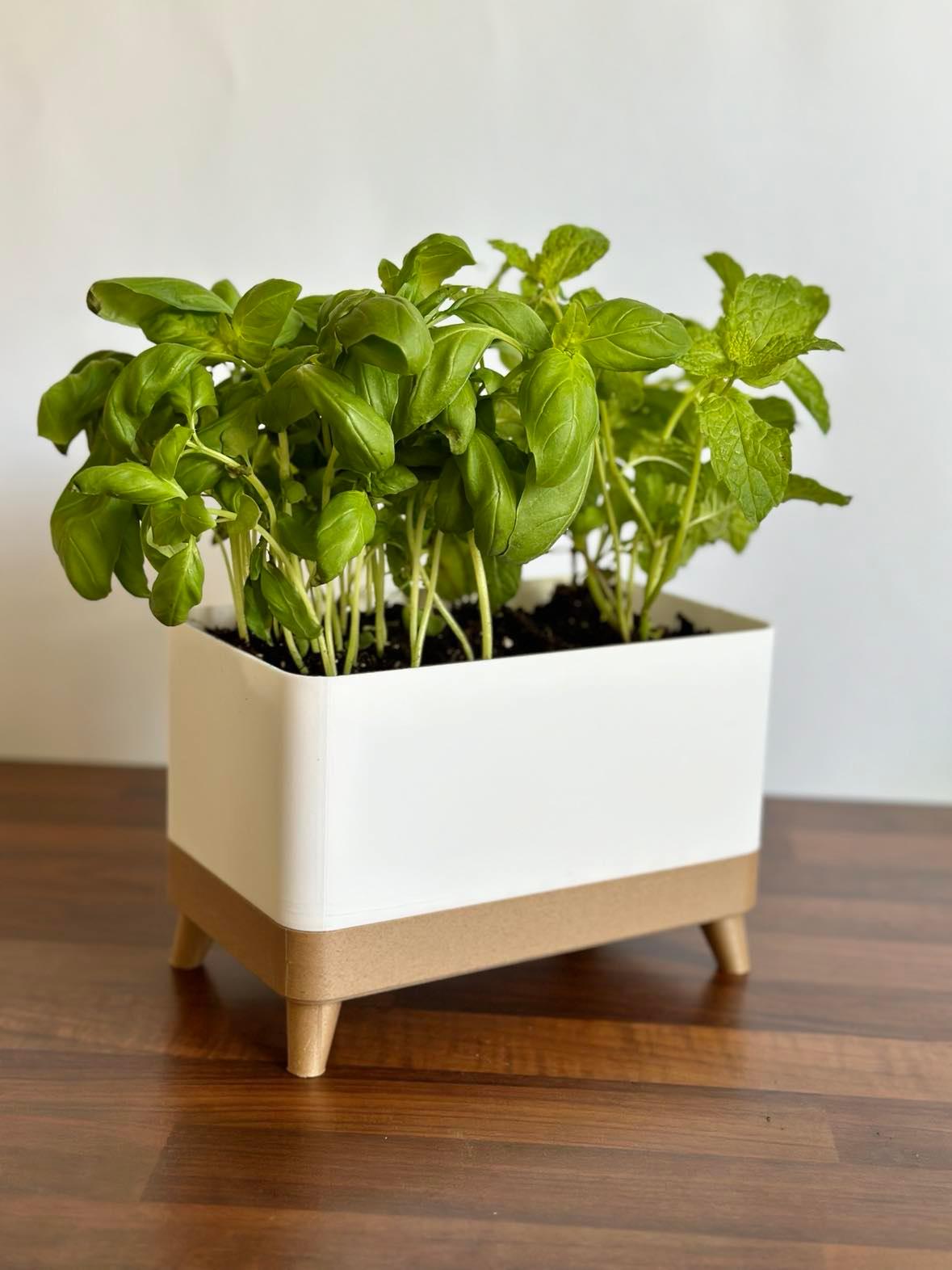 TRUHLIK Herb Planter 3d model