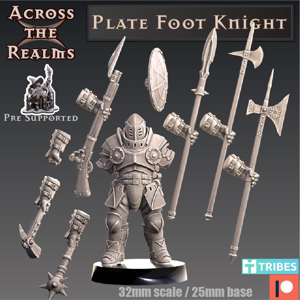 Plate Foot Knight 3d model