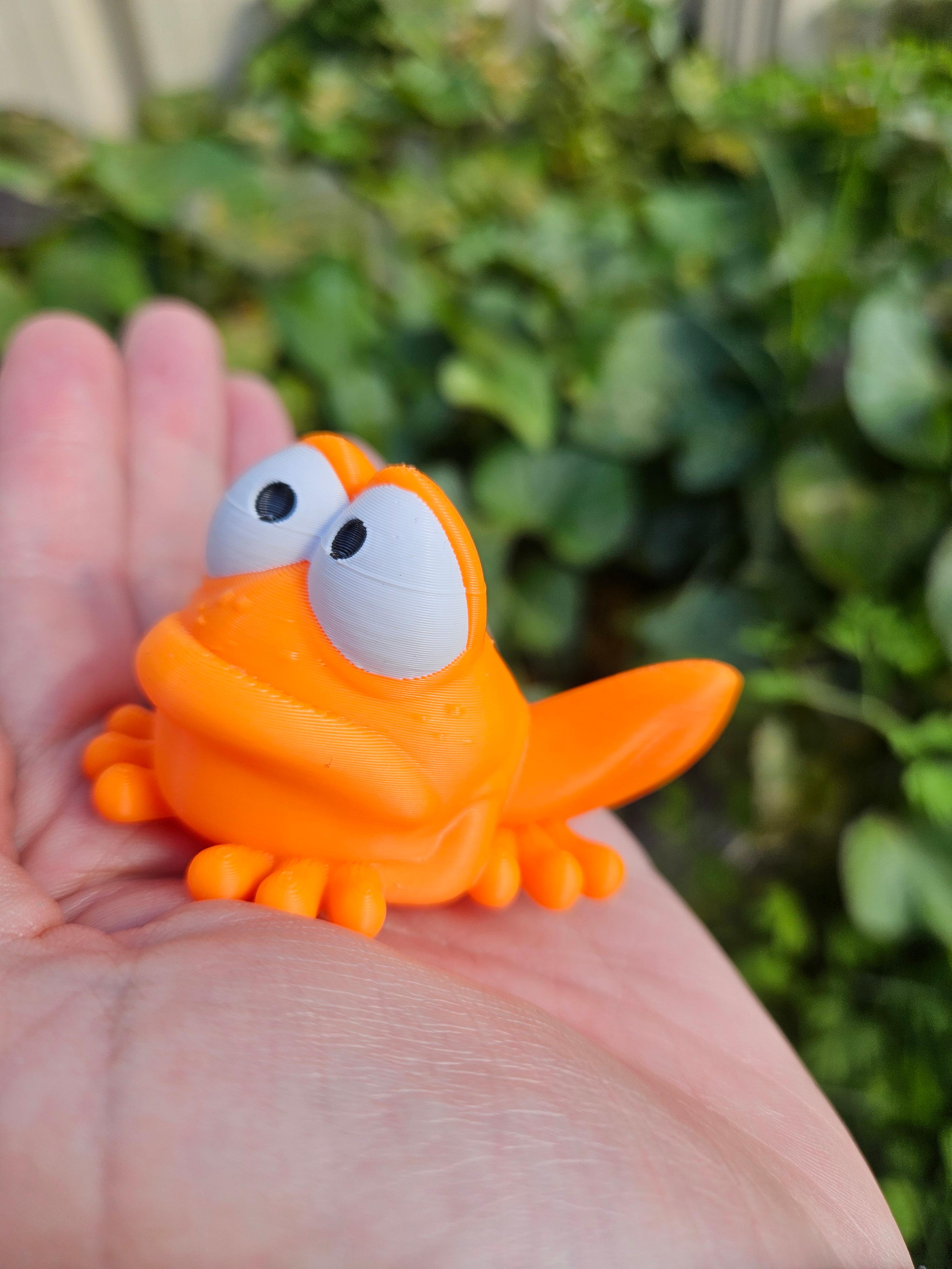 Hop - The First Frog - I didn't have any green, printed at half scale in glorious orange - 3d model