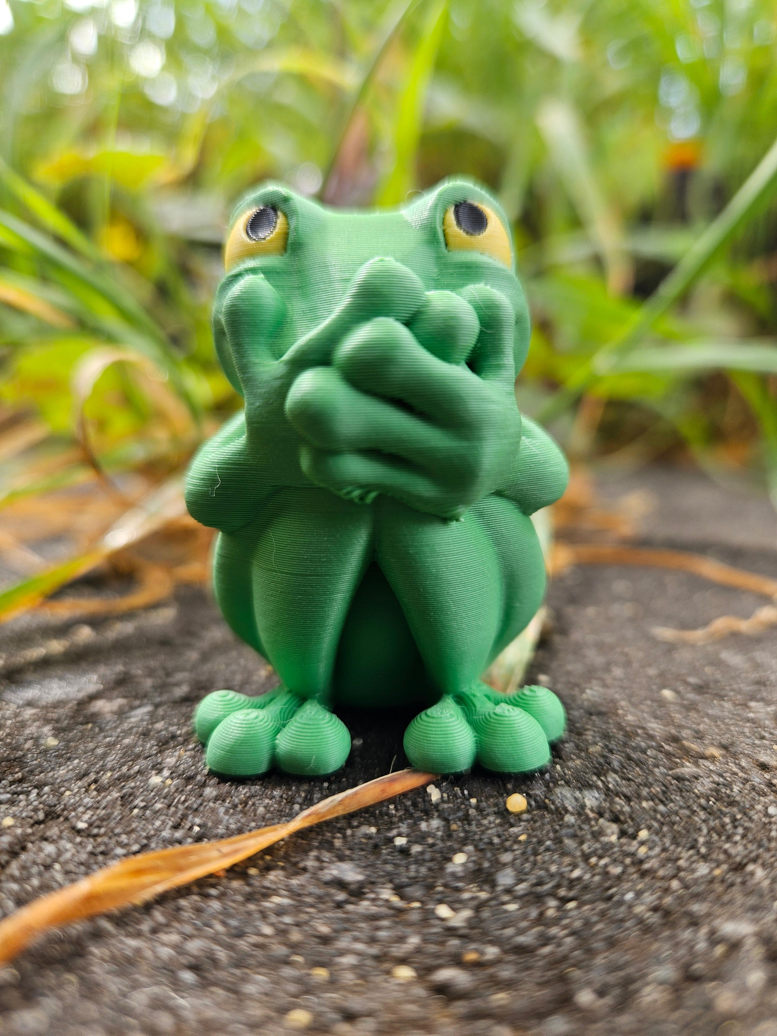 Speak No Evil Frog 3d model