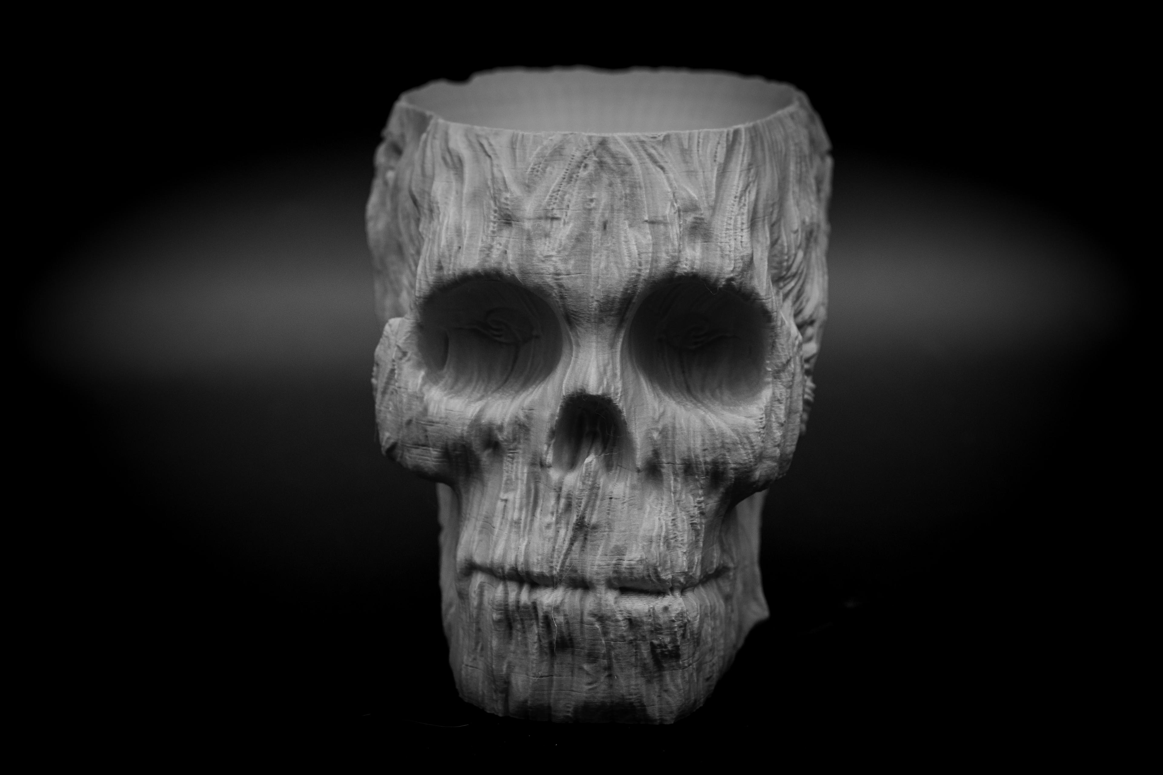 Forest Spirit Skull Pot 3d model