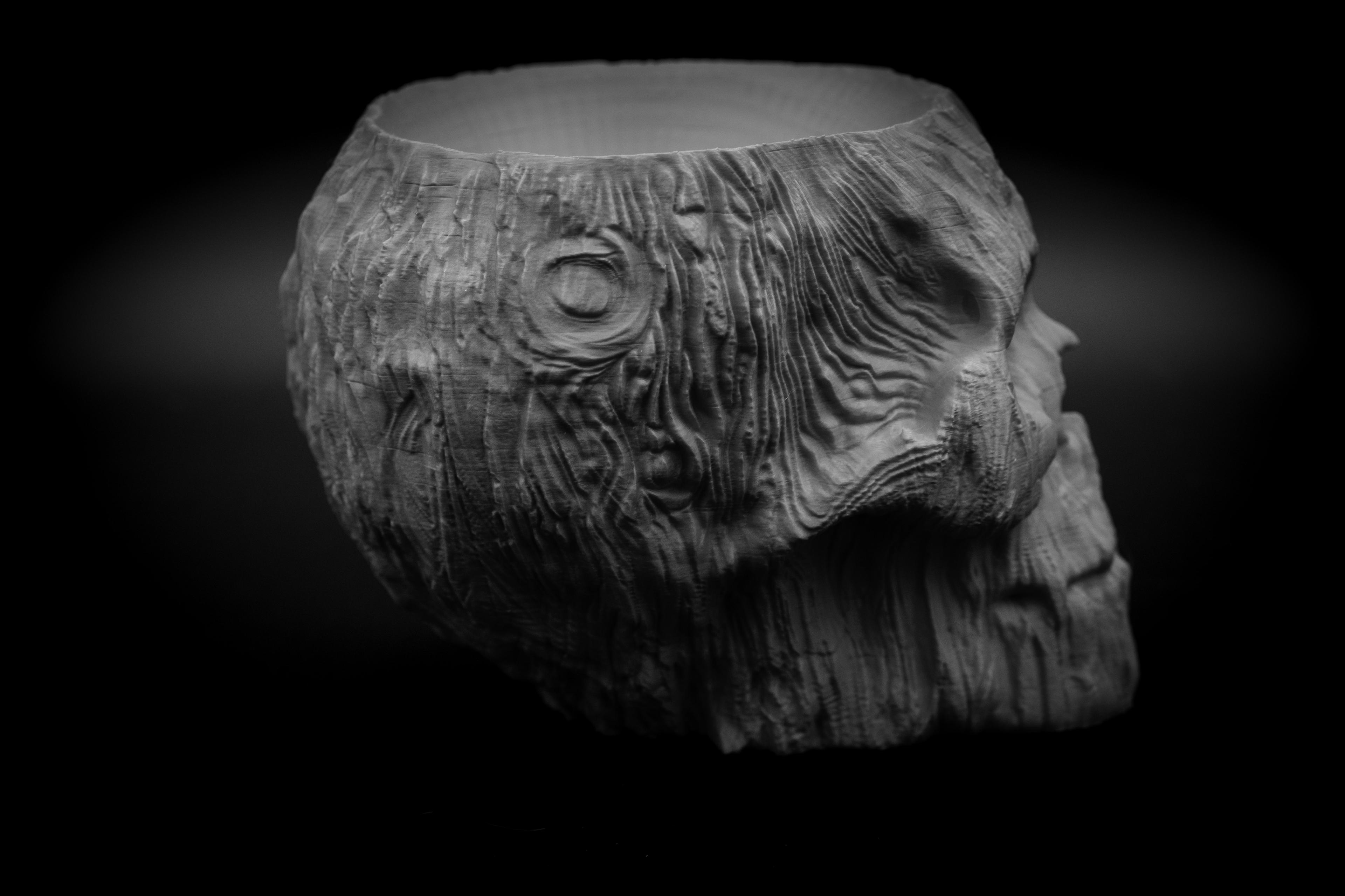 Forest Spirit Skull Pot 3d model