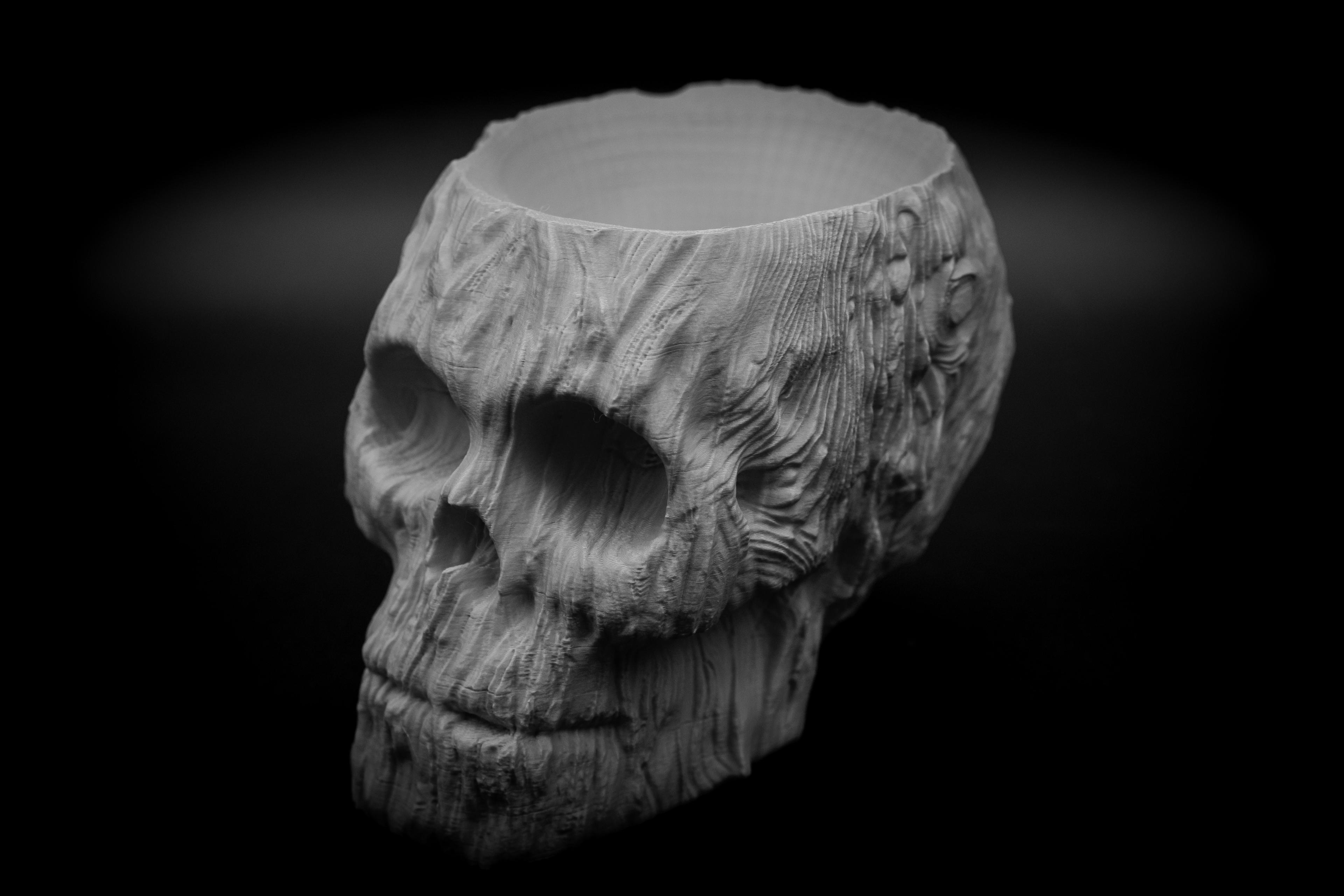 Forest Spirit Skull Pot 3d model