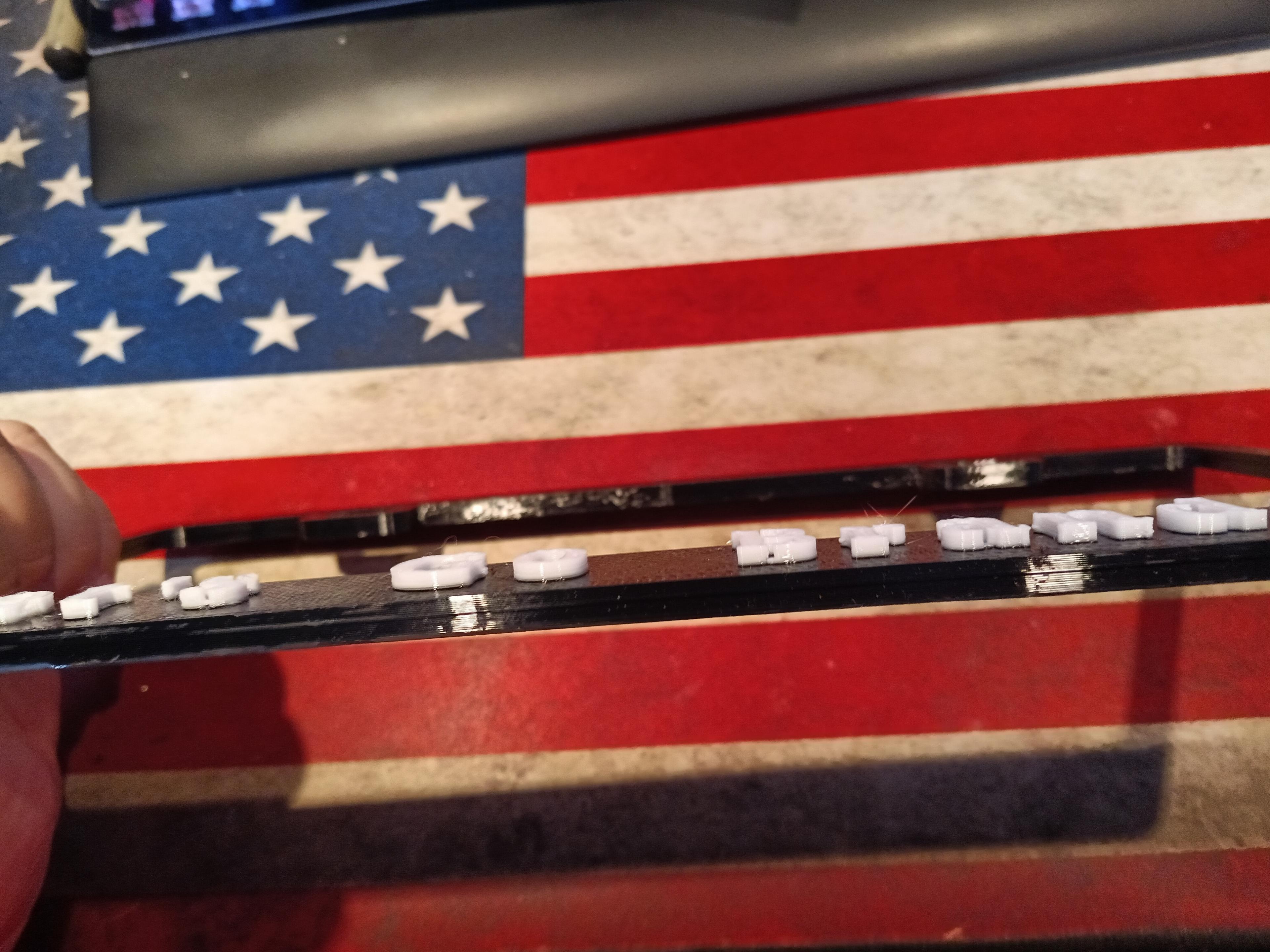F Joe Biden license plate frame USA Car Truck sized 3d model