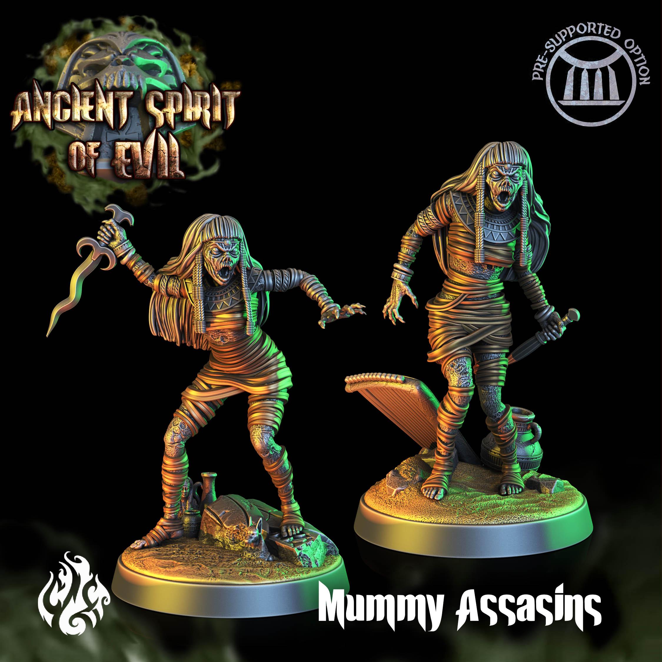 Mummy Assasins 3d model