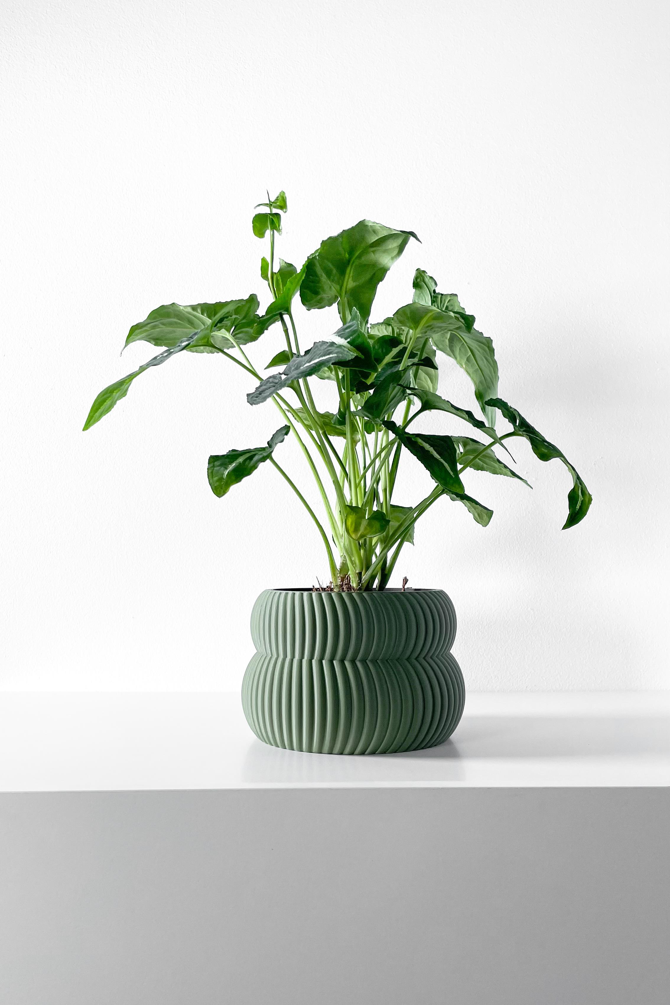 The Quarn Planter Pot with Drainage Tray & Stand Included | Modern and Unique Home Decor 3d model