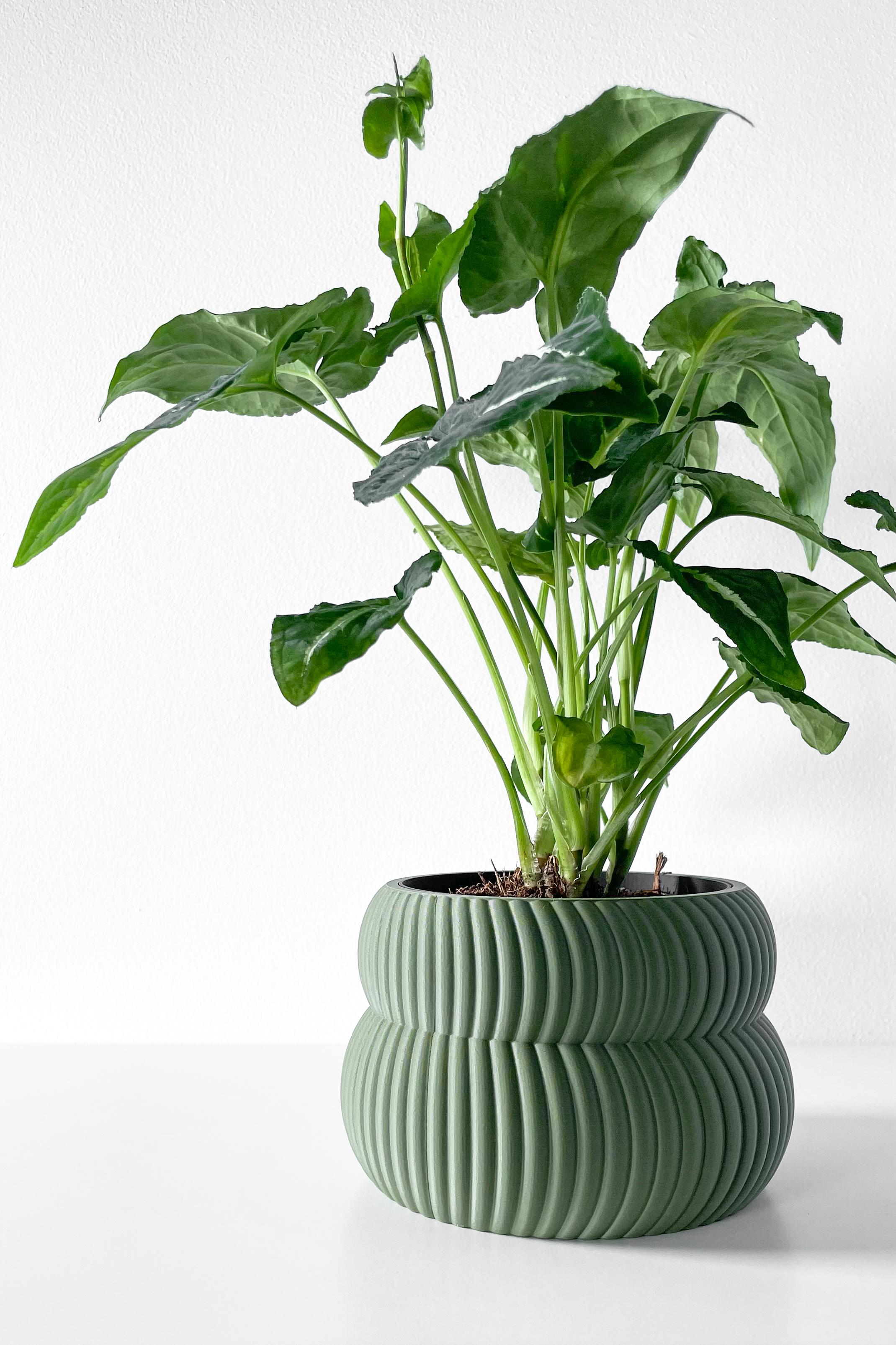 The Quarn Planter Pot with Drainage Tray & Stand Included | Modern and Unique Home Decor 3d model