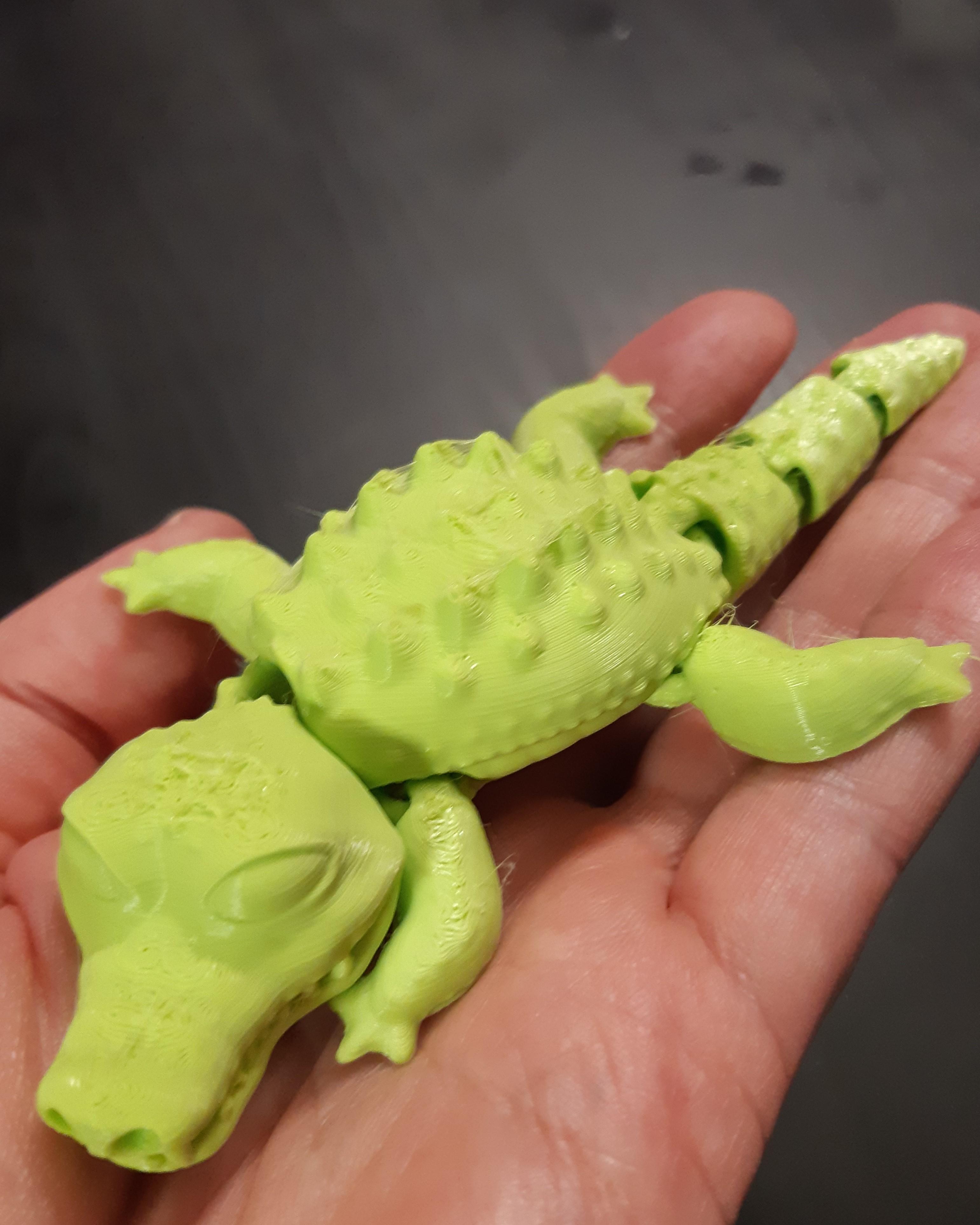 SIMPLE FLEXI CROCODILE - SUPPORT FREE - PRINT IN PLACE 3d model