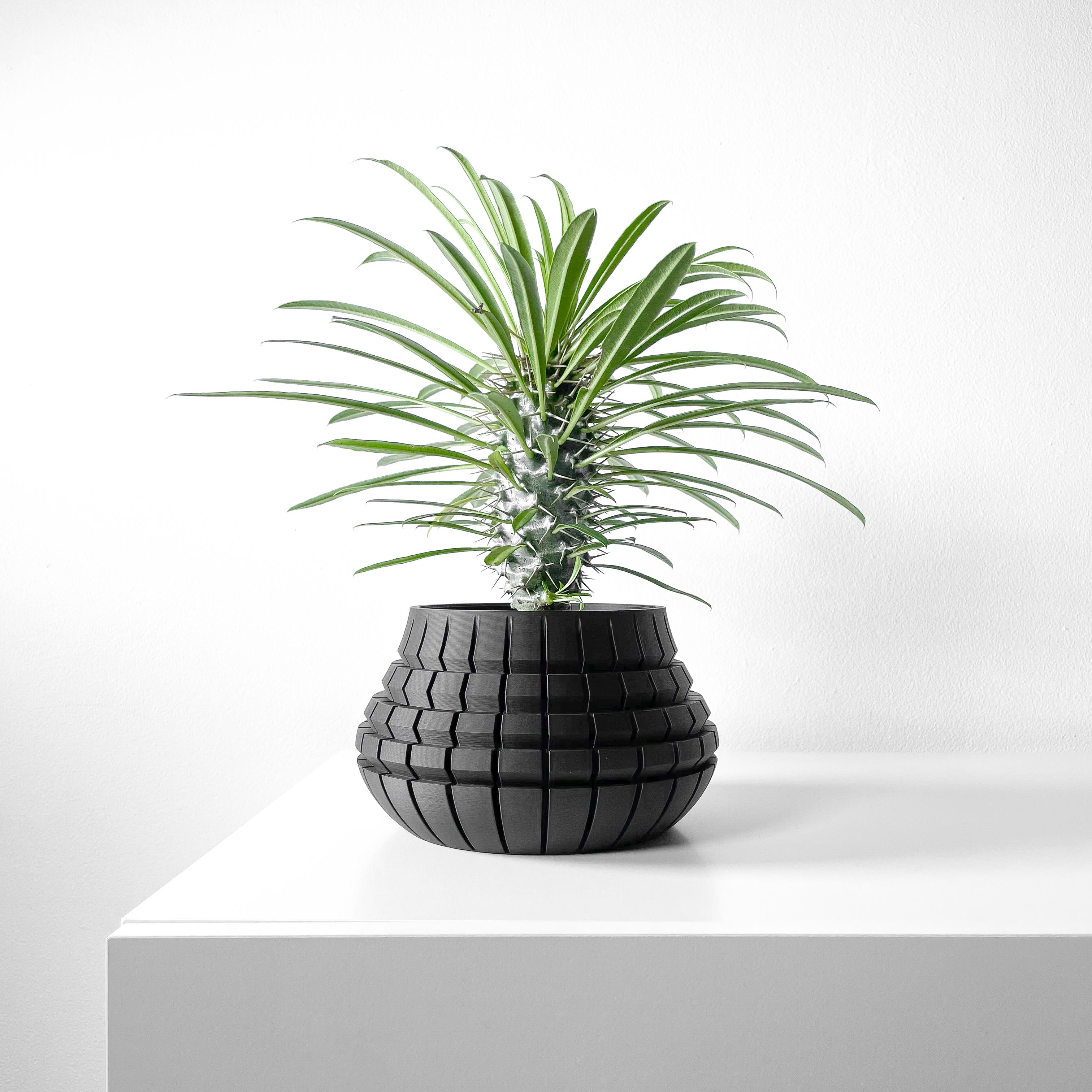 The Ivane Planter Pot with Drainage Tray & Stand Included | Modern and Unique Home Decor 3d model