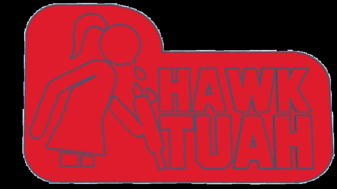 HAWK TUAH.stl 3d model