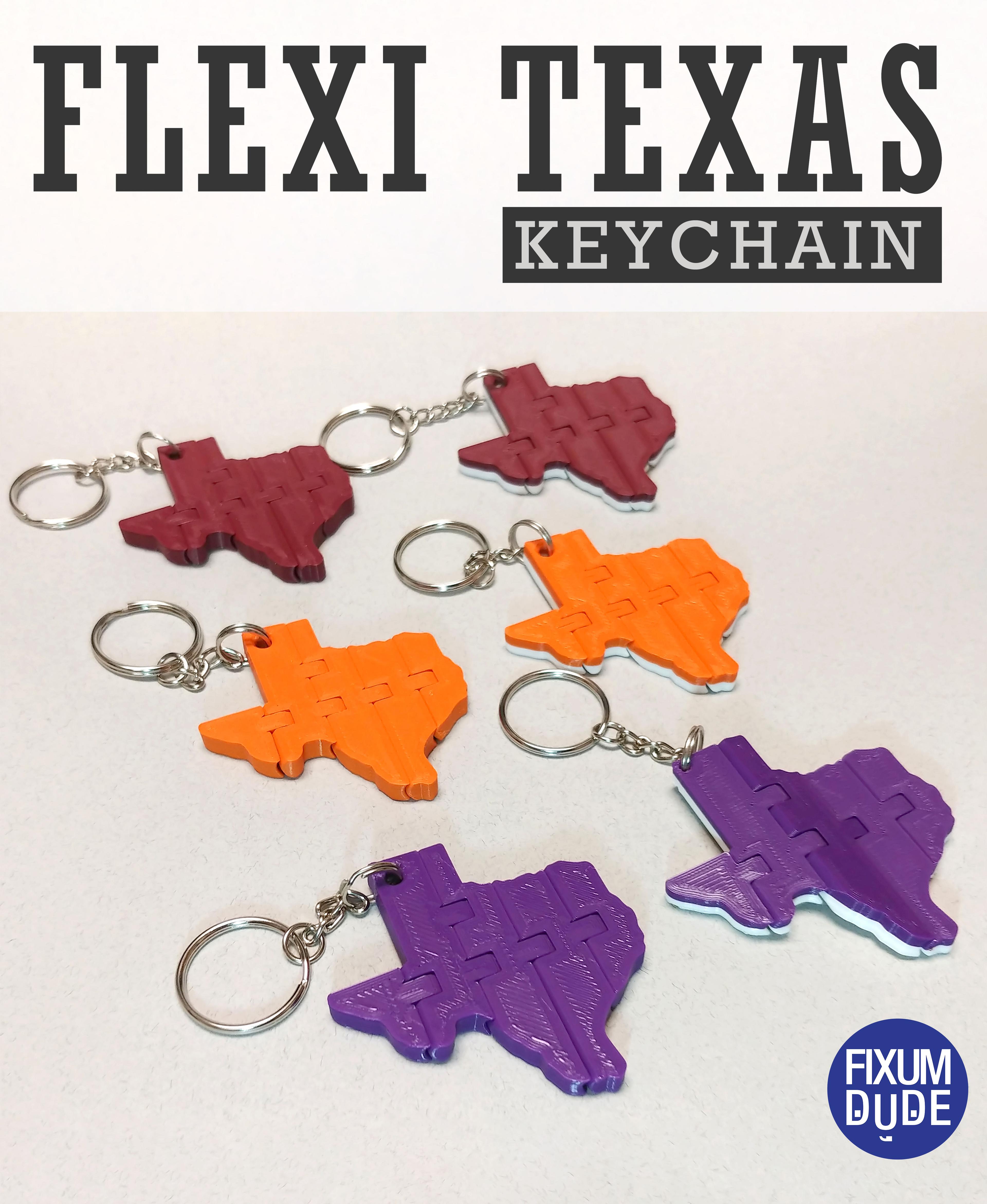 Flexi Texas Fidget Keychain 3d model