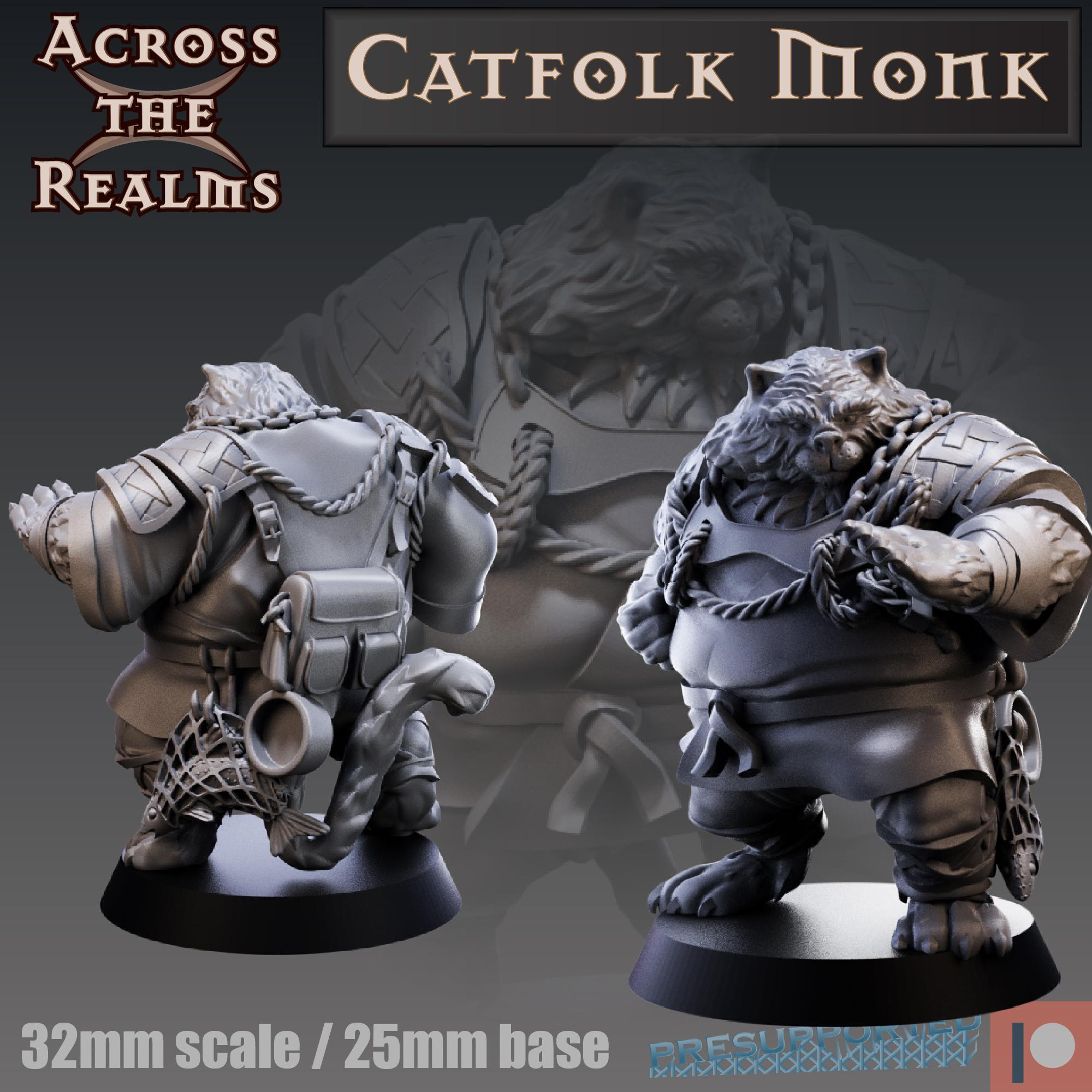 Catfolk Monk 3d model