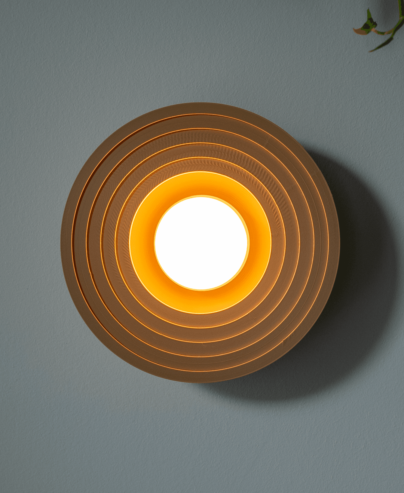 Solstice Wall Light 3d model