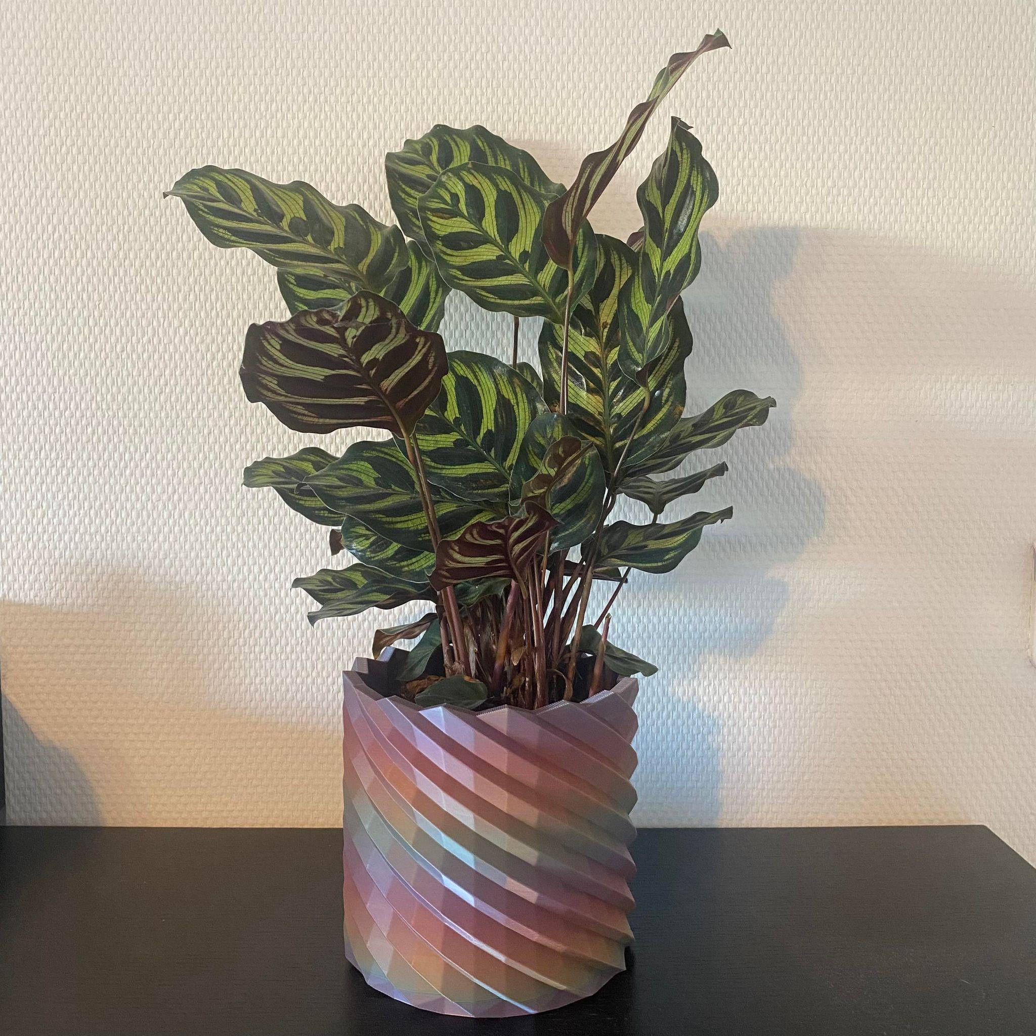 Plant pot.stl 3d model