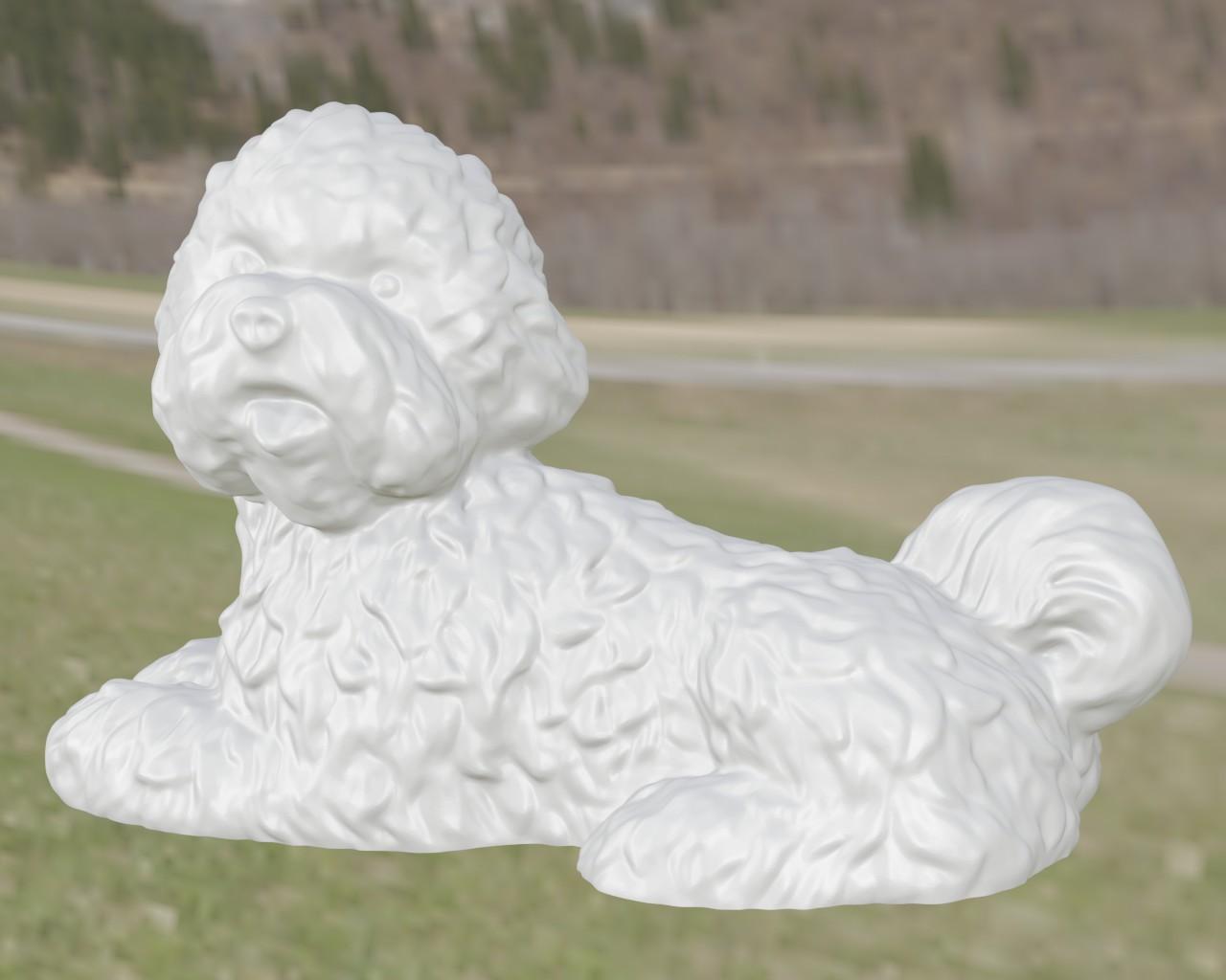 Dog bichon 3d model