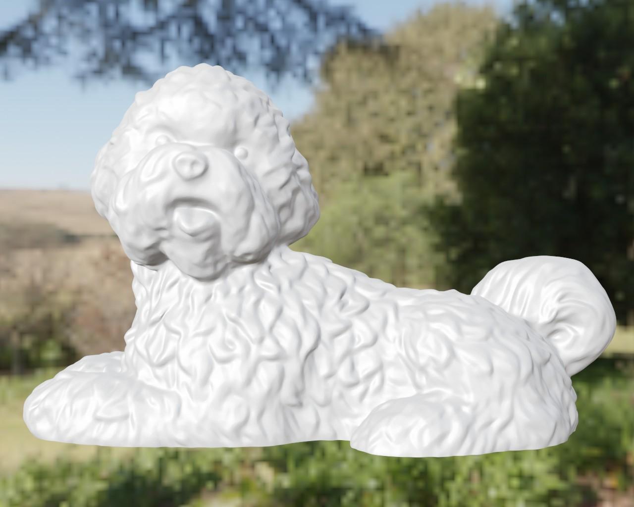 Dog bichon 3d model