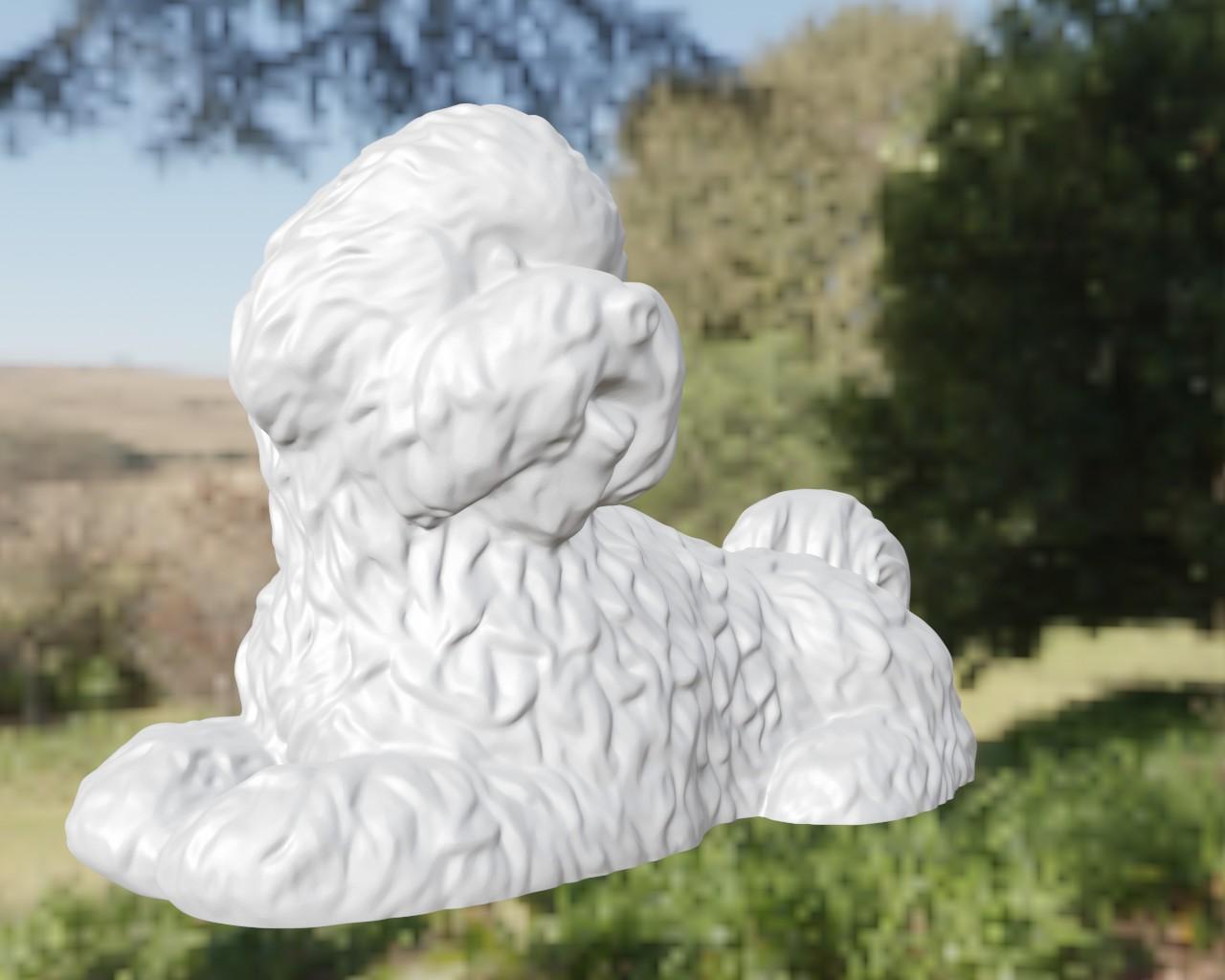 Dog bichon 3d model