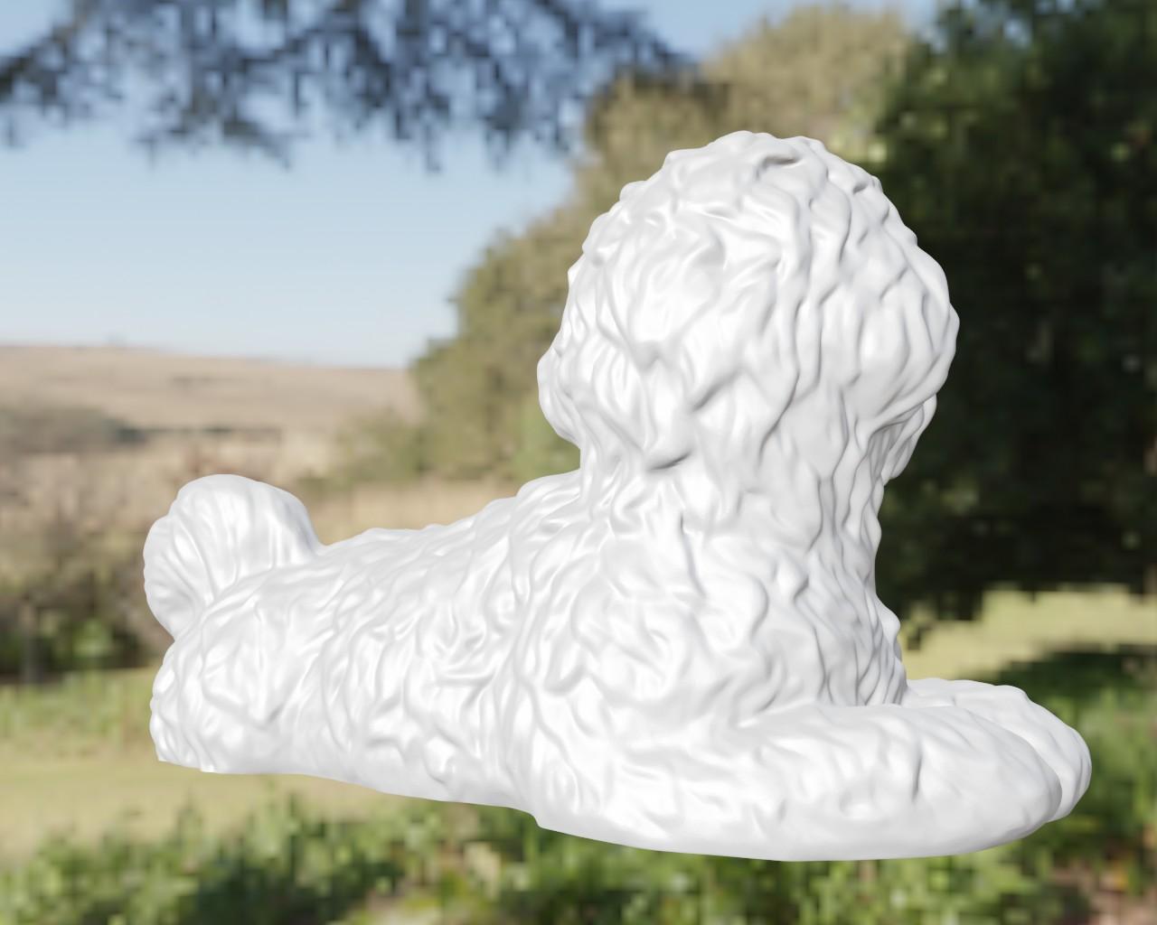 Dog bichon 3d model