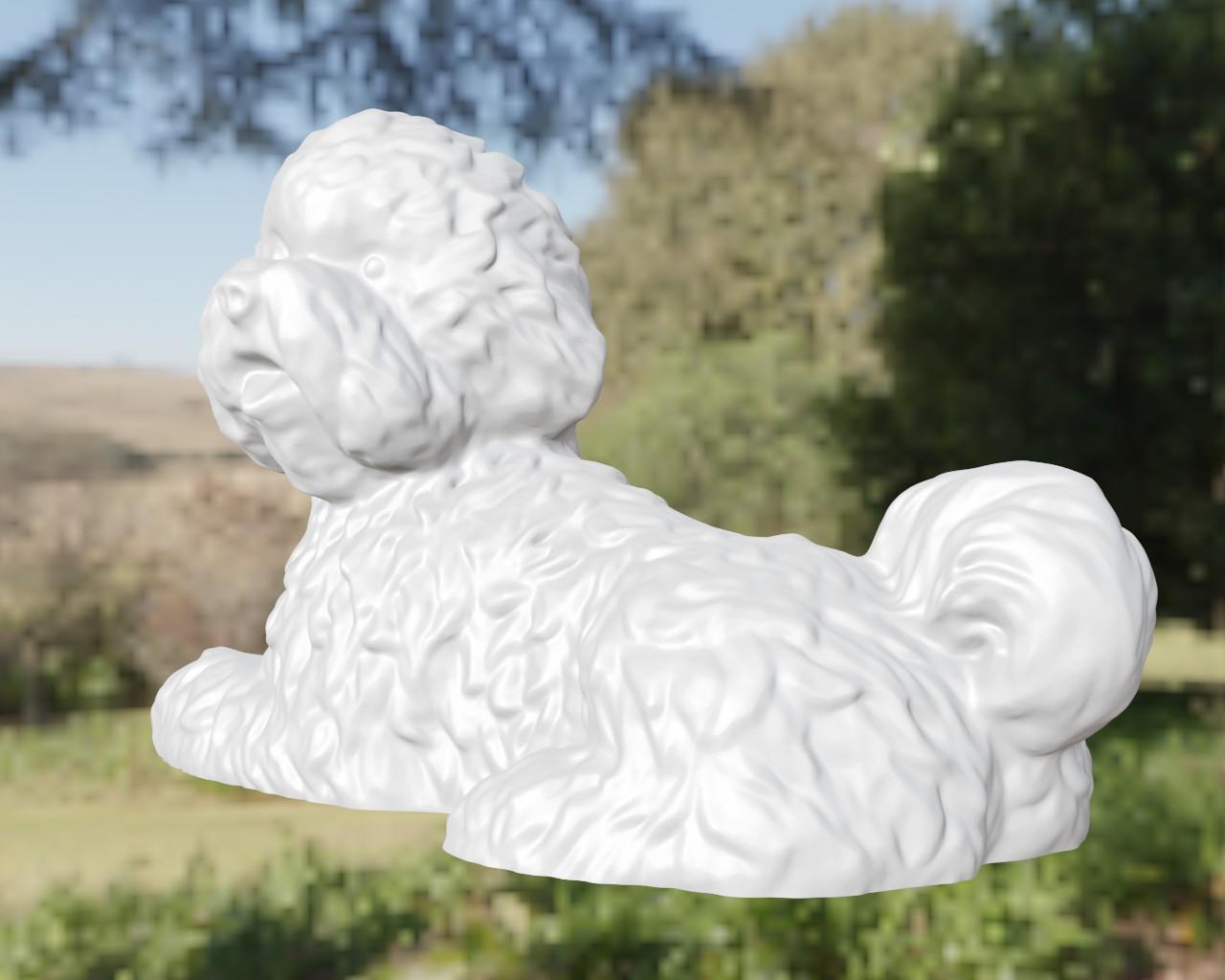 Dog bichon 3d model