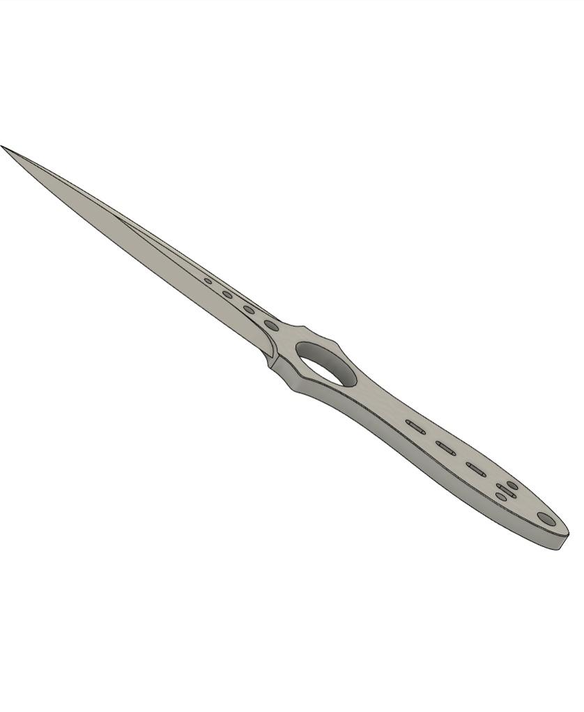 CS2 Skeleton Knife 3d model