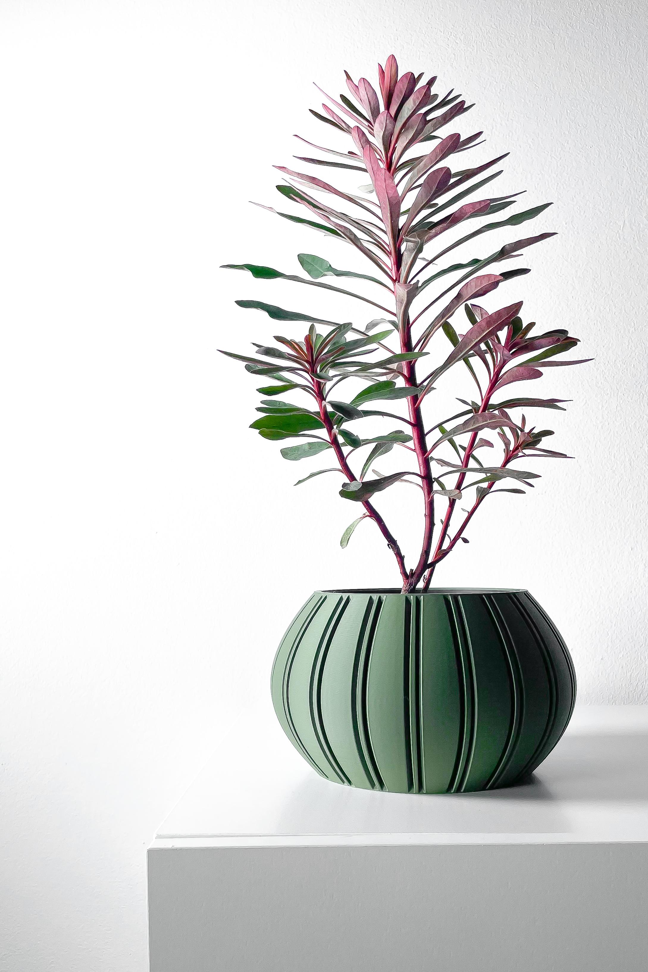 The Ovire Planter Pot with Drainage Tray & Stand Included | Modern and Unique Home Decor 3d model