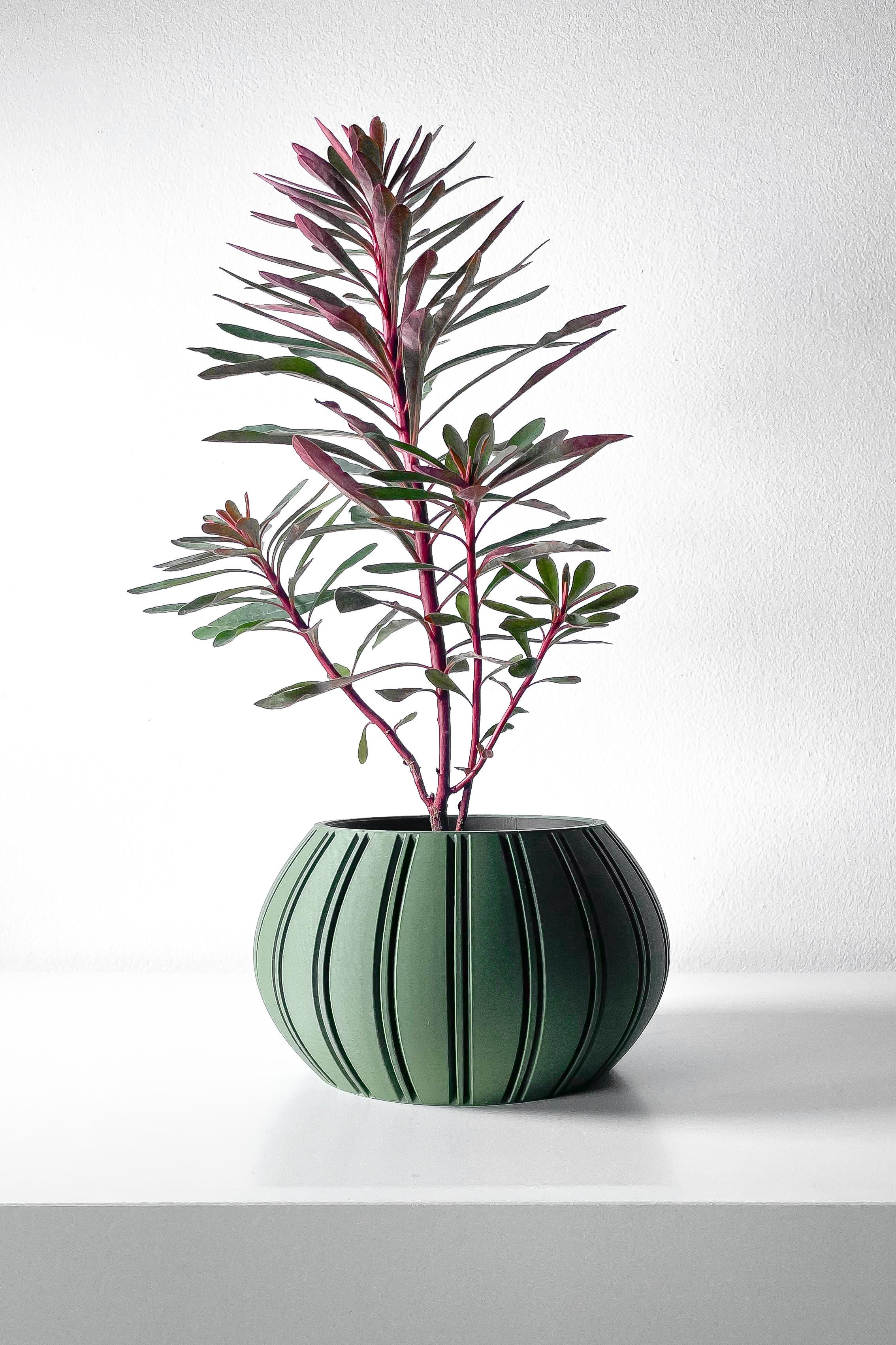 The Ovire Planter Pot with Drainage Tray & Stand Included | Modern and Unique Home Decor 3d model