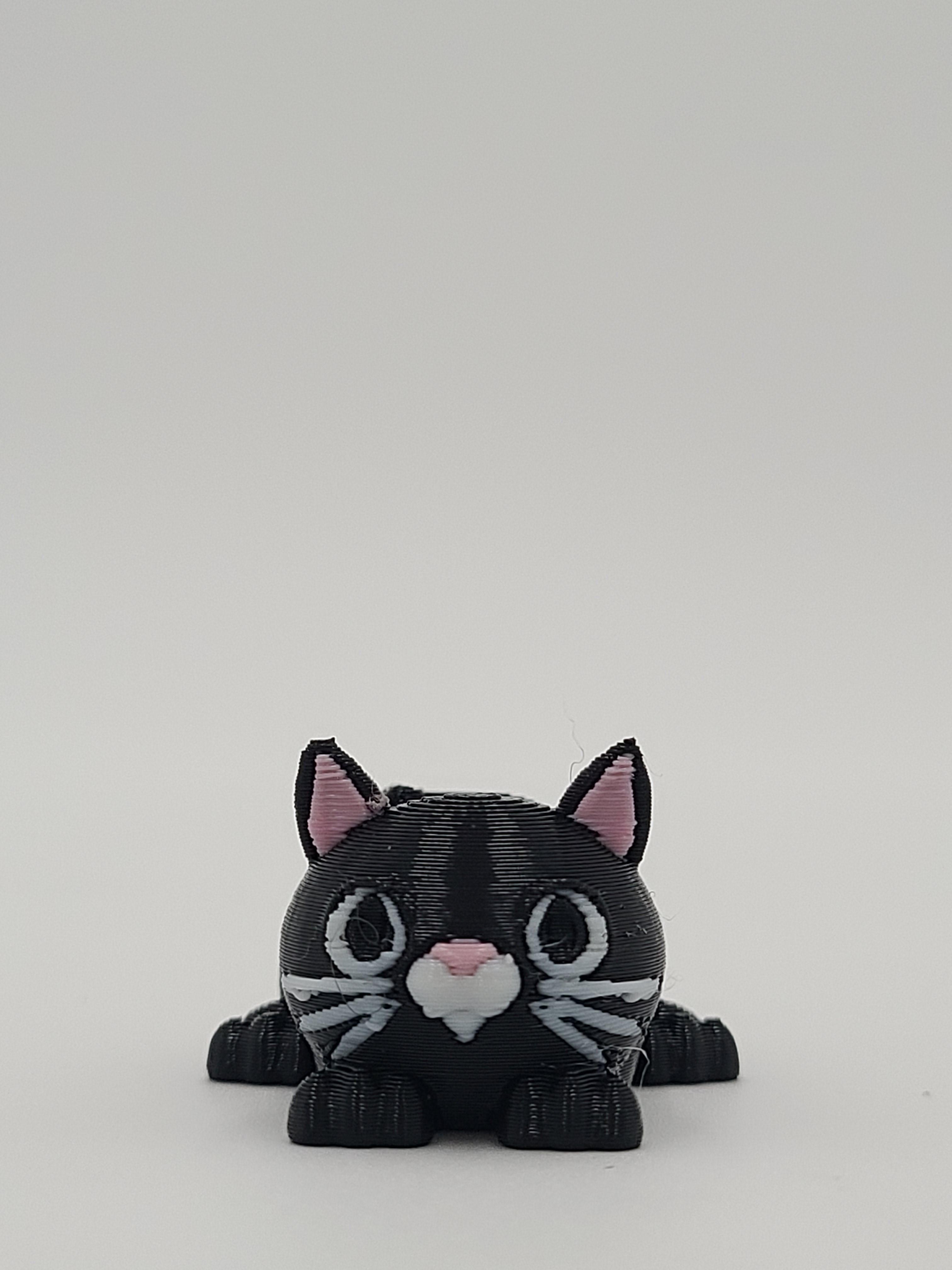 Custom Name EFL Accrington Stanley 3D Hat Cat Black Model Gift For